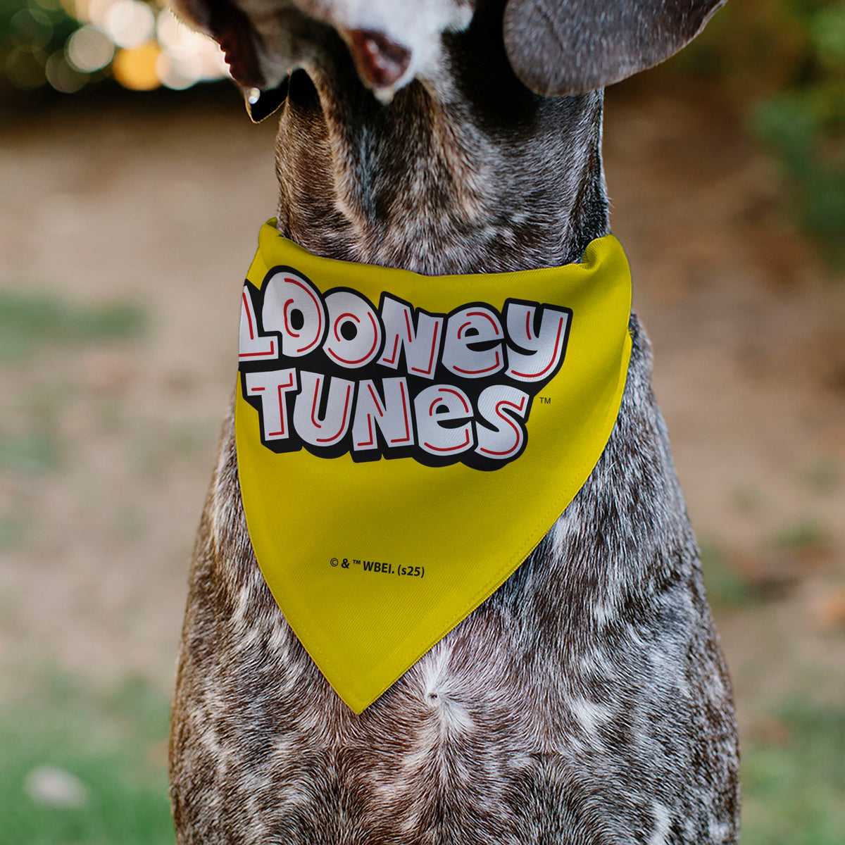 Pet Bandana - LOONEY TUNES Tweety Bird Face Close-Up Yellow | HT Animal Supply
