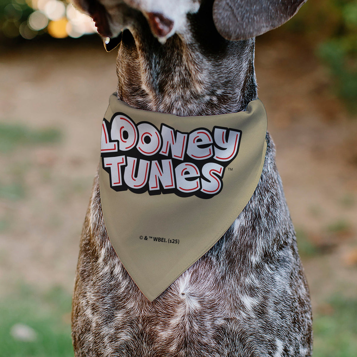 Pet Bandana - LOONEY TUNES Yosemite Sam Face Close-Up Tan | HT Animal Supply