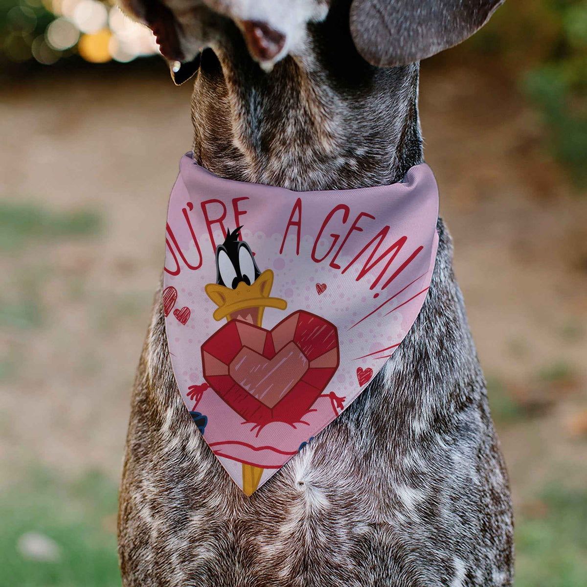 Pet Bandana - Daffy Duck YOURE A GEM Heart Pose and Title Logo Pink