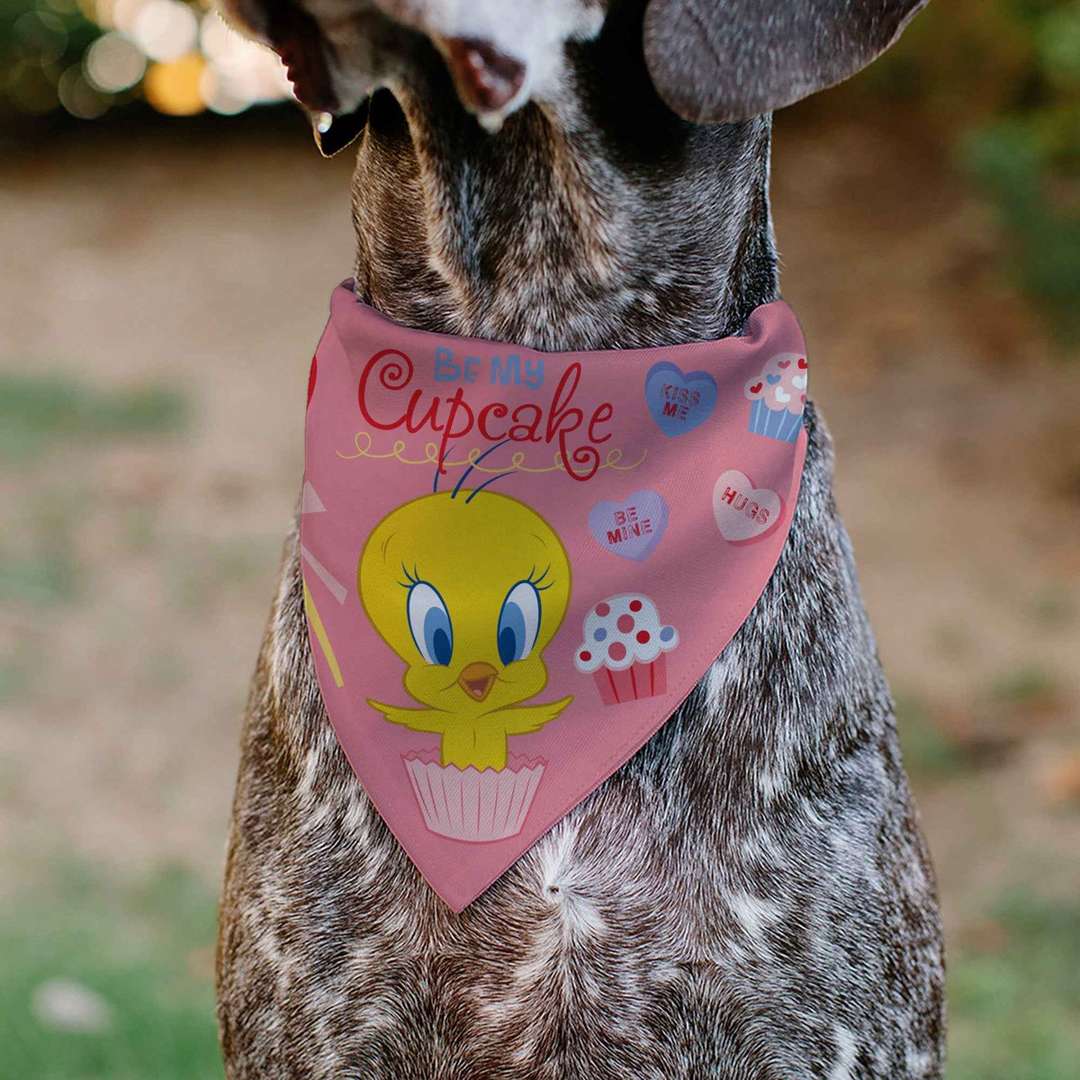 Pet Bandana - Tweety Bird BE MY CUPCAKE Sweets Pose and Title Logo Pink