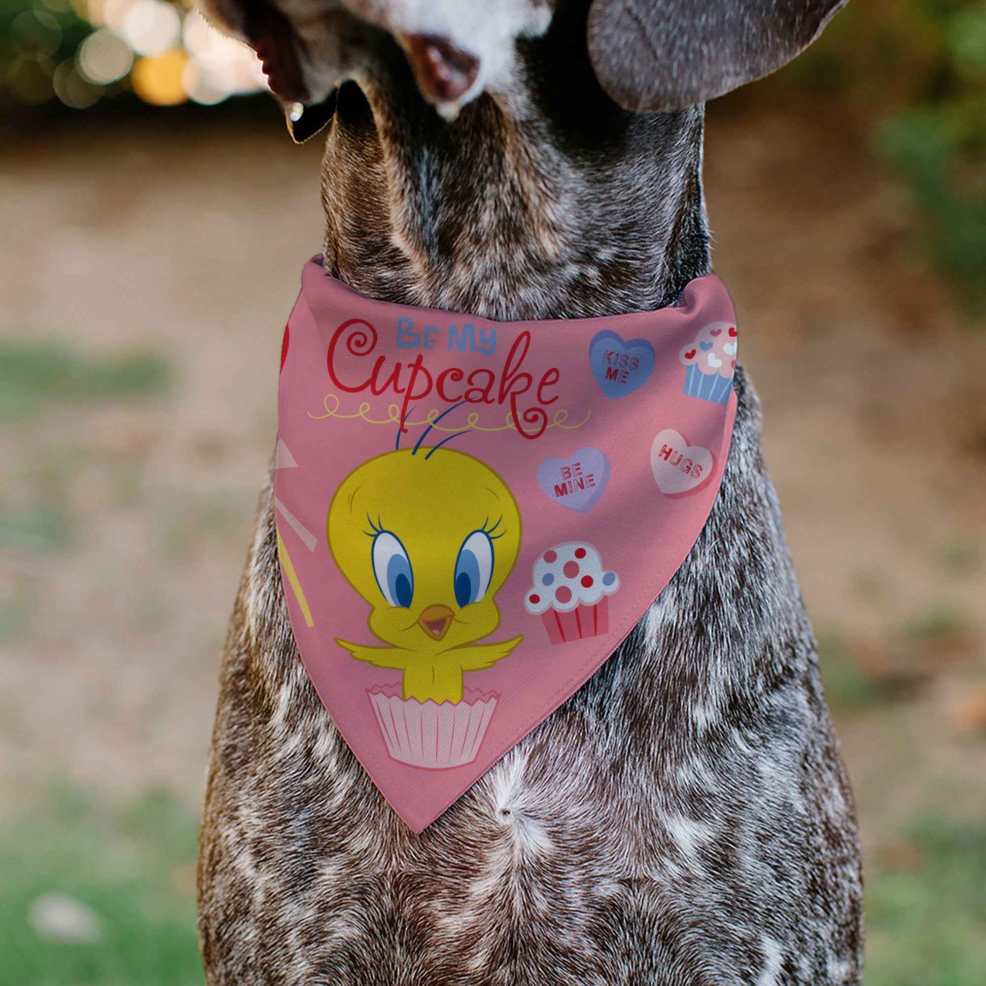 Pet Bandana - Tweety Bird BE MY CUPCAKE Sweets Pose and Title Logo Pink