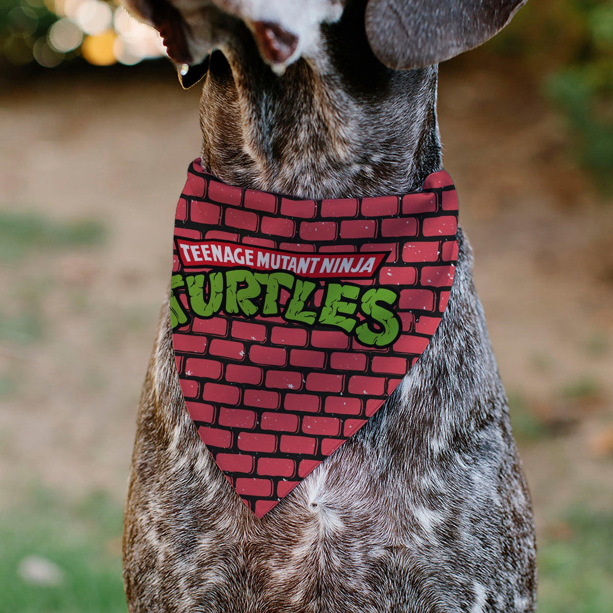 Pet Bandana - TEENAGE MUTANT NINJA TURTLES Brick Title Logo 