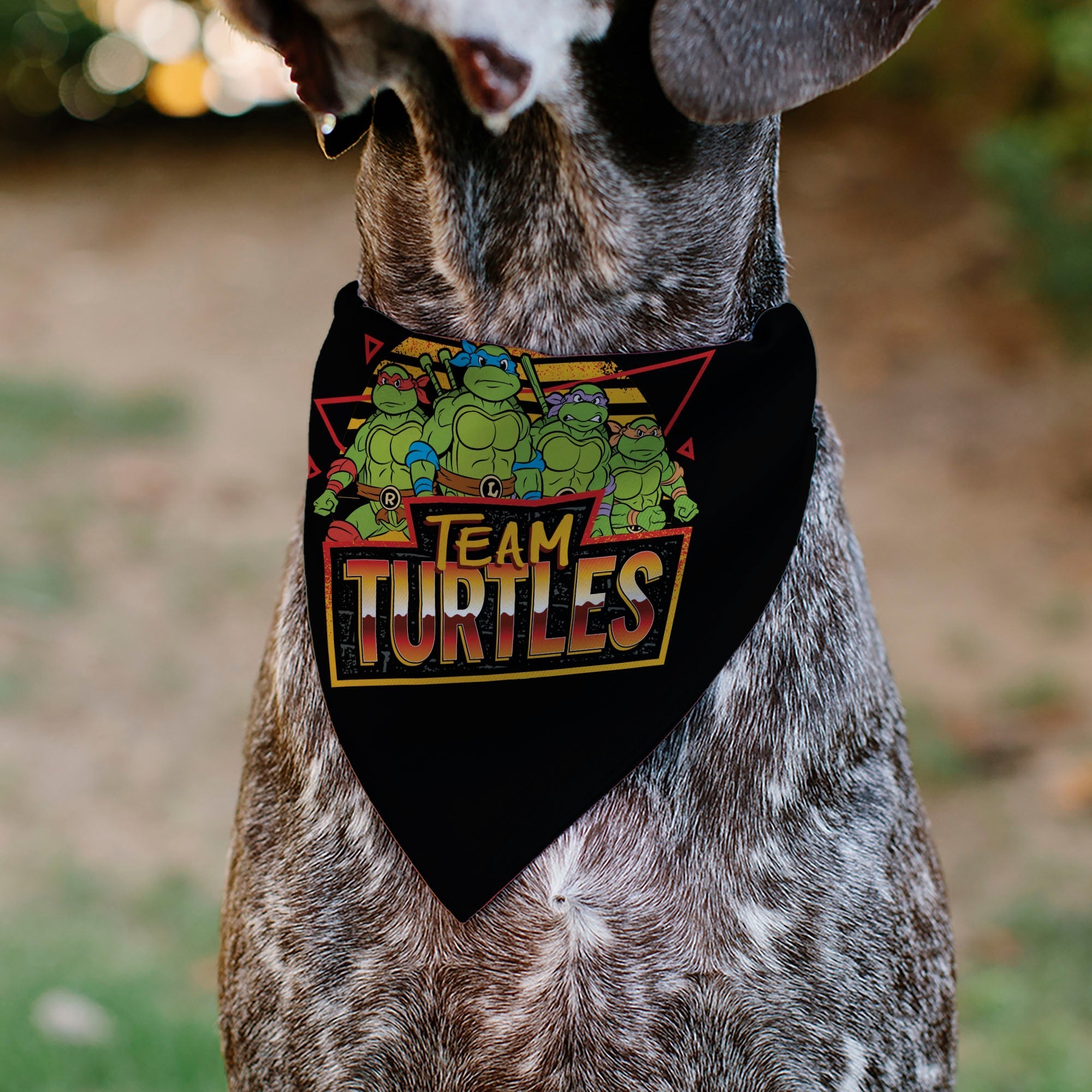 Pet Bandana - Teenage Mutant Ninja Turtles TEAM TURTLES Group Pose Black/Red 