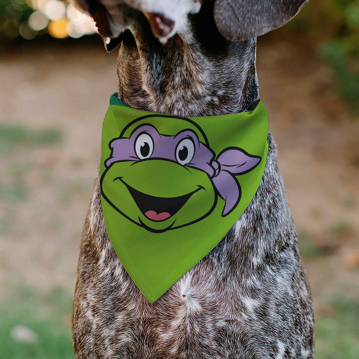 Pet Bandana - Ninja Turtles Donatello Face and Turtle Shell Character Close-Up Green