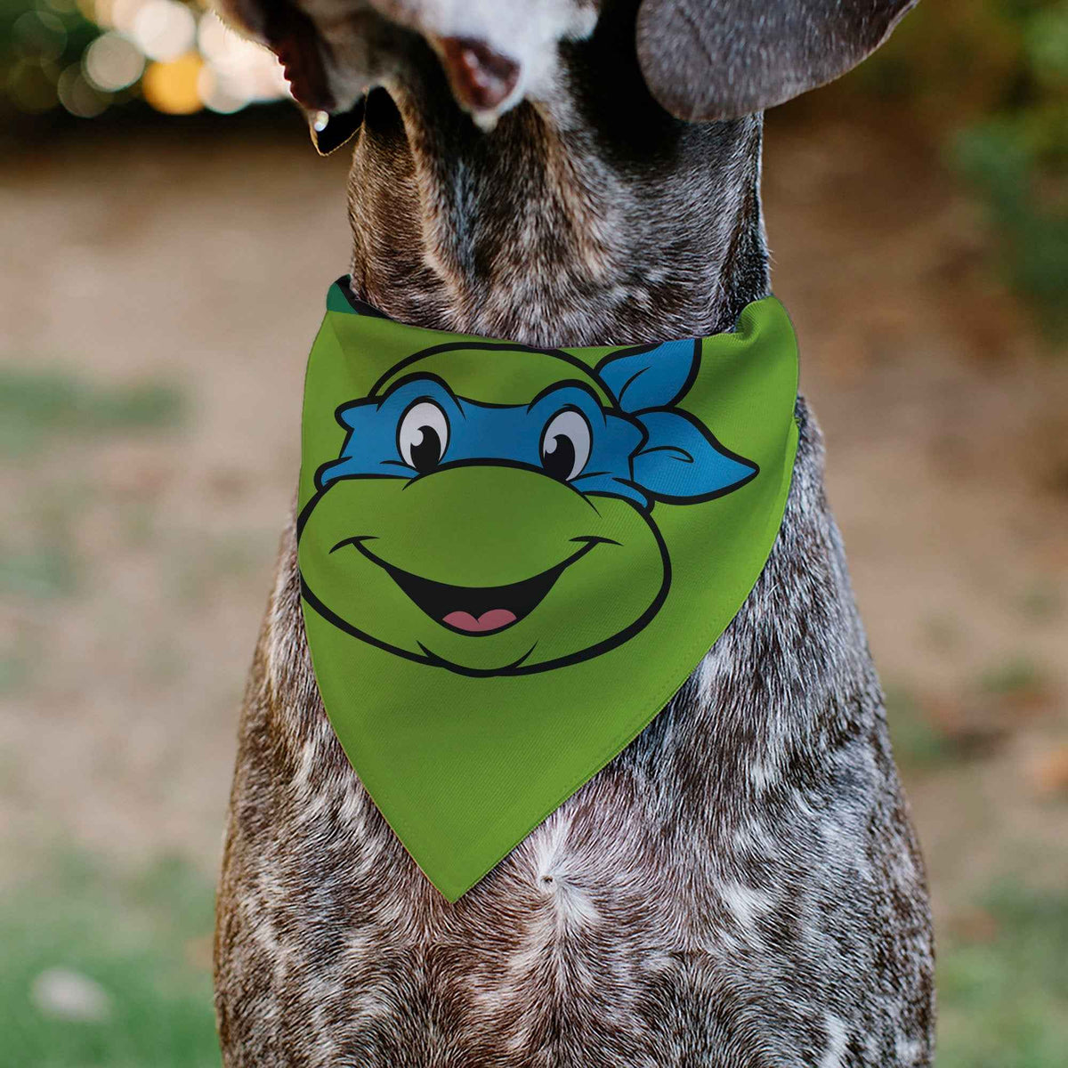 Pet Bandana - Ninja Turtles Leonardo Face and Turtle Shell Character Close-Up Green