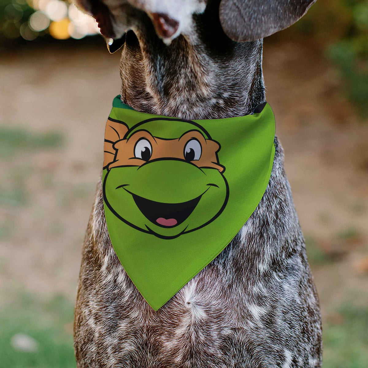 Pet Bandana - Ninja Turtles Michaelangelo Face and Turtle Shell Character Close-Up Green