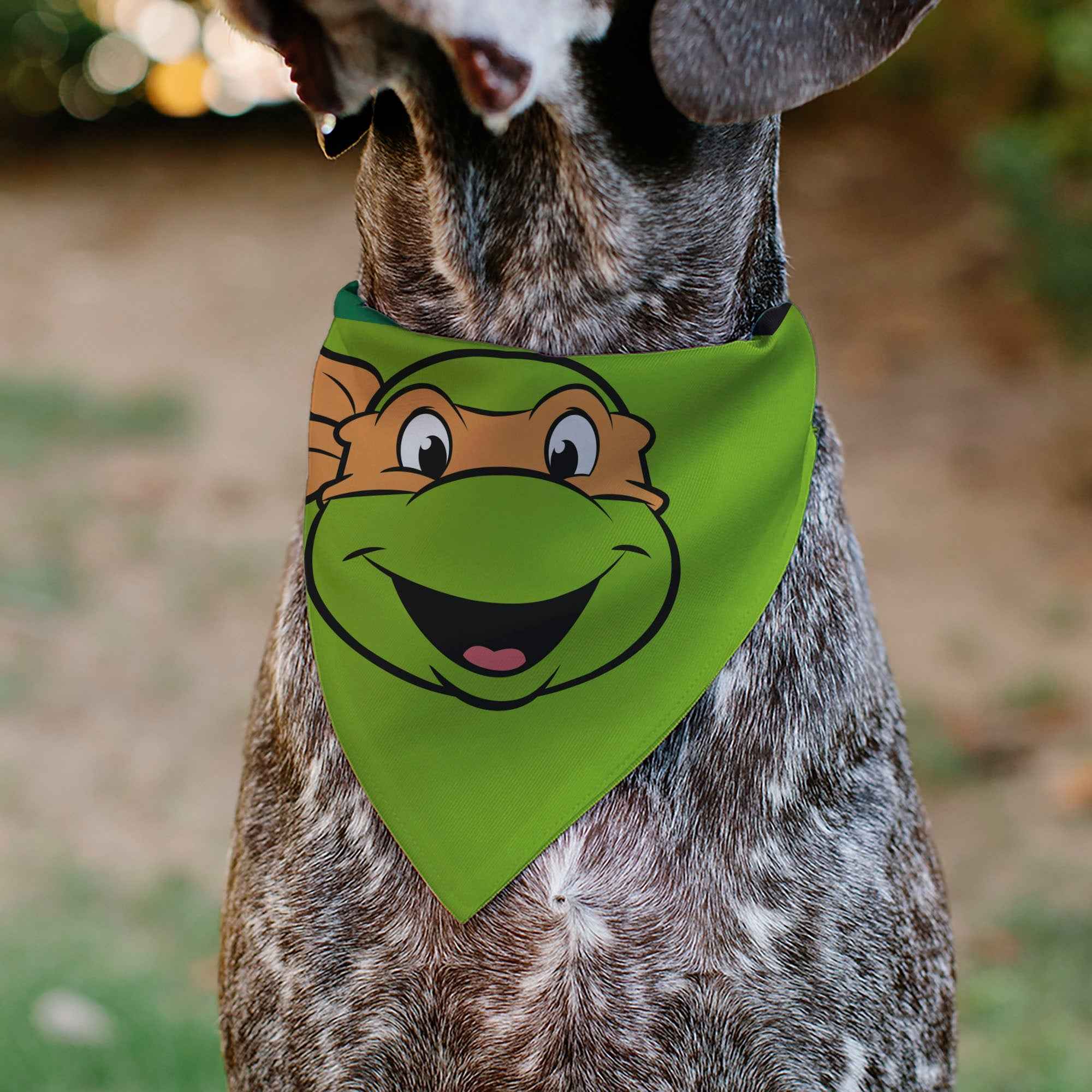 Pet Bandana - Ninja Turtles Michaelangelo Face and Turtle Shell Character Close-Up Green