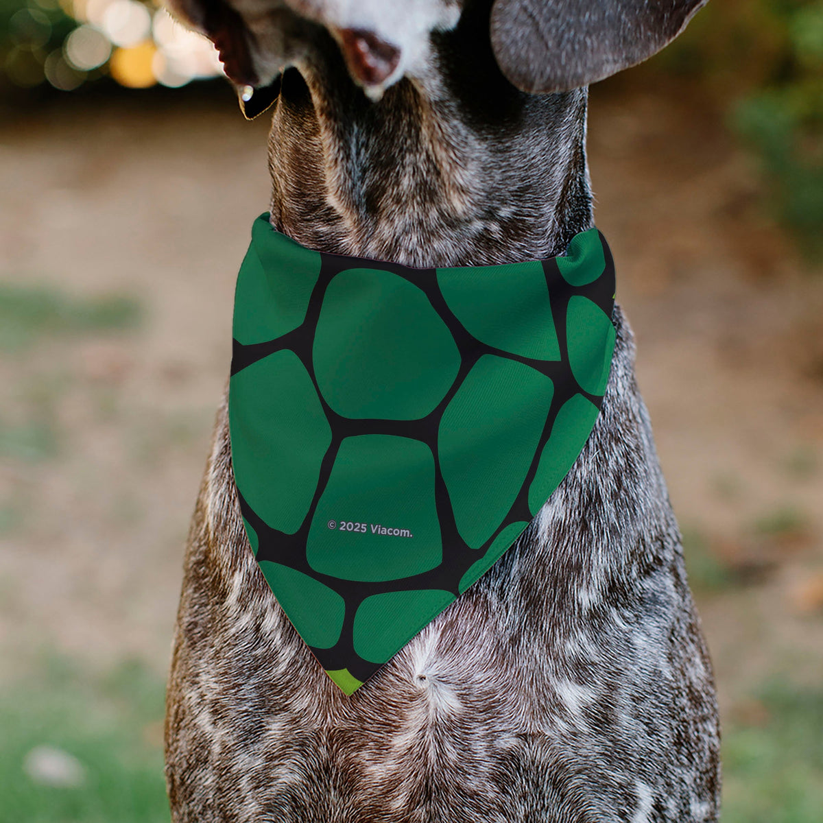 Pet Bandana - Ninja Turtles Michaelangelo Face and Turtle Shell Character Close-Up Green | HT Animal Supply