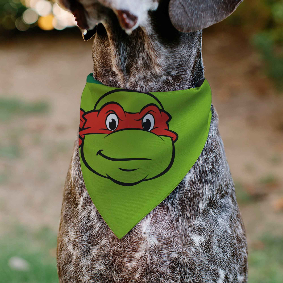 Pet Bandana - Ninja Turtles Raphael Face and Turtle Shell Character Close-Up Green