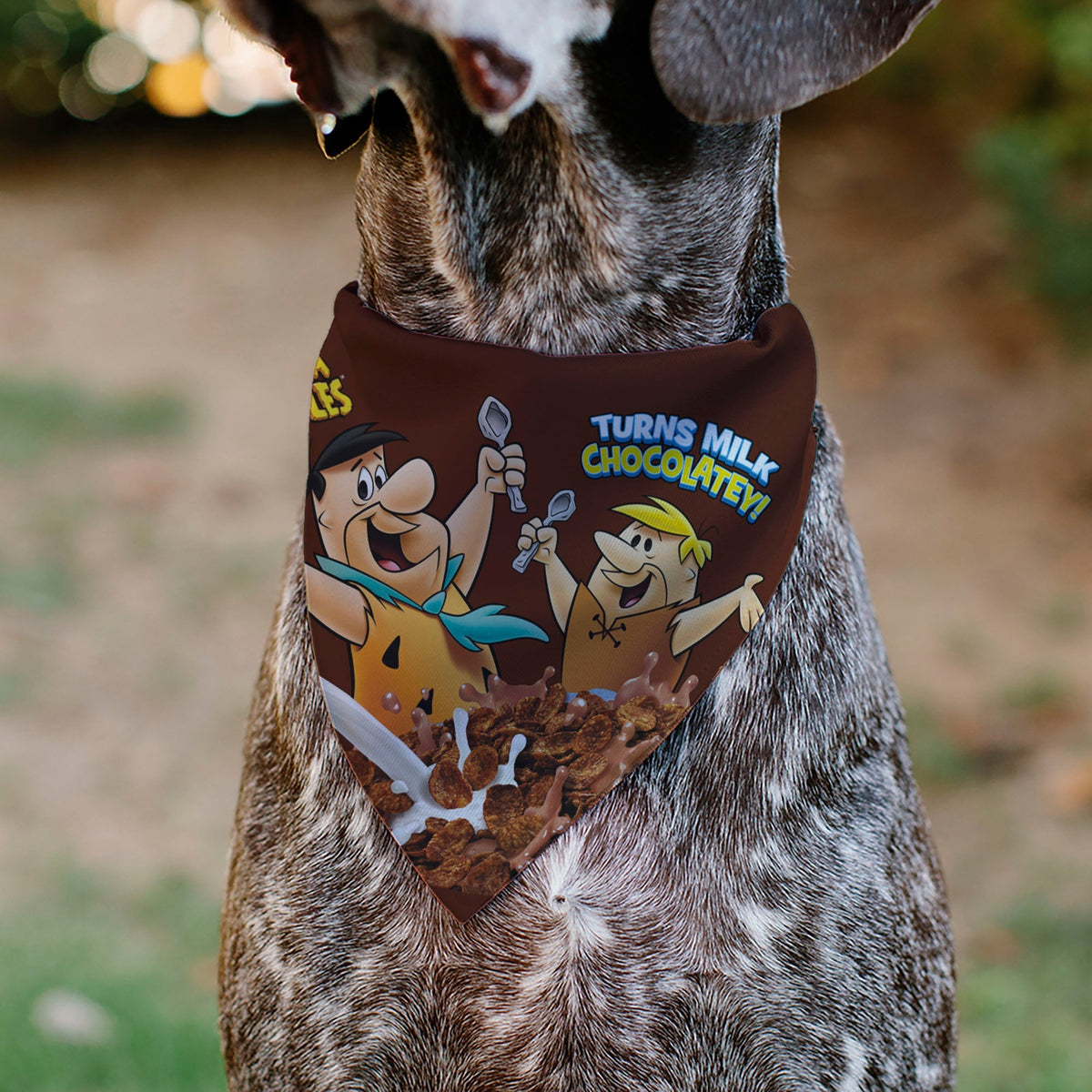 Pet Bandana - COCOA PEBBLES Fred Flintstone and Barney Rubble Cereal Box Print and Vivid Cereal Brown 