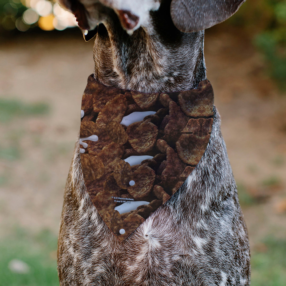 Pet Bandana - COCOA PEBBLES Fred Flintstone and Barney Rubble Cereal Box Print and Vivid Cereal Brown 
