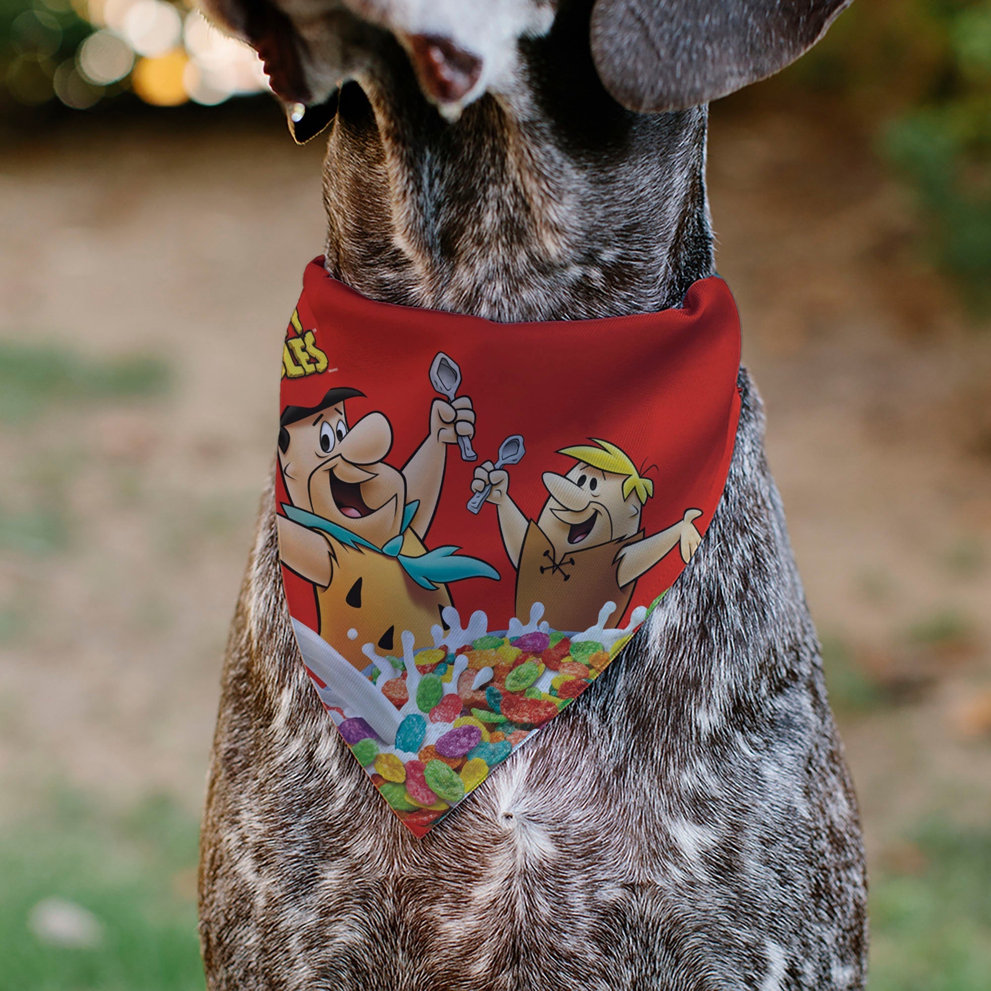 Pet Bandana - FRUITY PEBBLES Fred Flintstone and Barney Rubble Cereal Box Print and Vivid Cereal Multi Color 