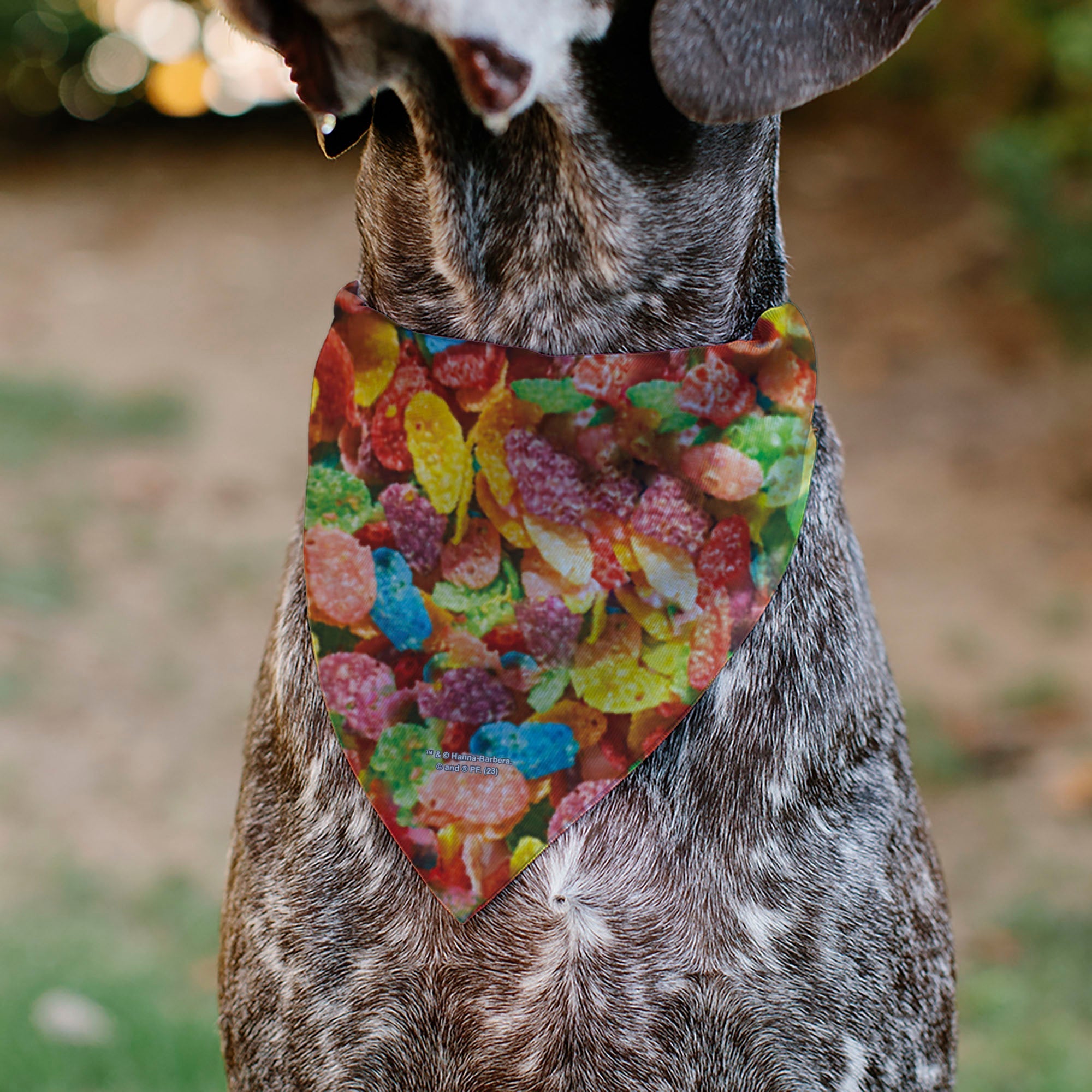 Pet Bandana - FRUITY PEBBLES Fred Flintstone and Barney Rubble Cereal Box Print and Vivid Cereal Multi Color 