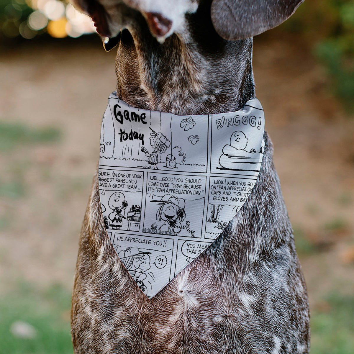 Pet Bandana - PEANUTS Good Ol Charlie Brown Comic Scene Blocks White/Black 