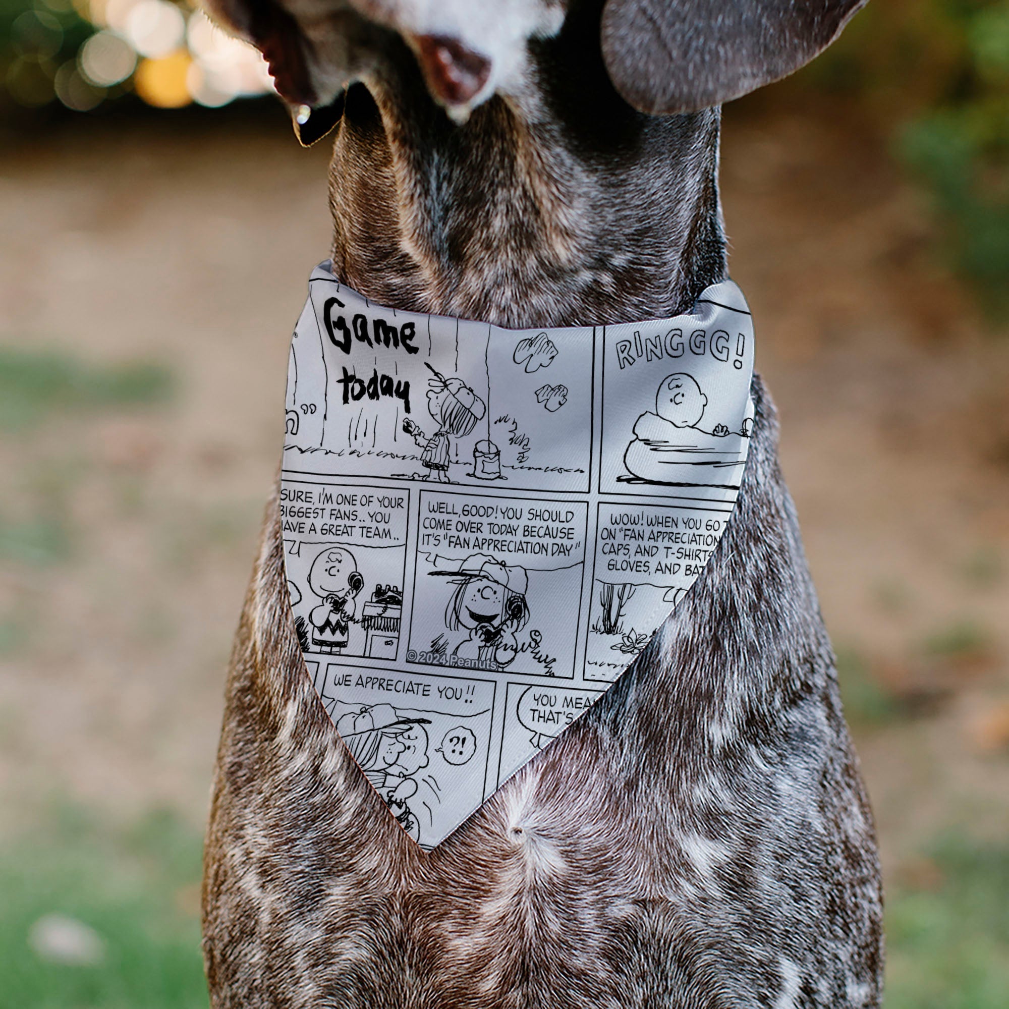 Pet Bandana - PEANUTS Good Ol Charlie Brown Comic Scene Blocks White/Black 