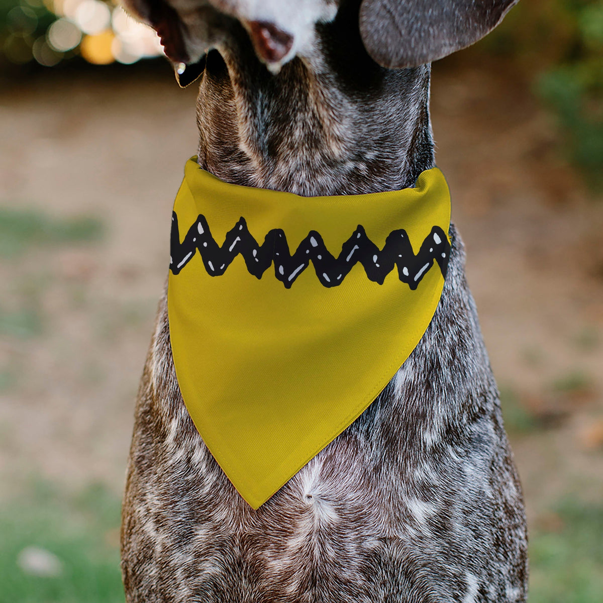 Pet Bandana - Peanuts Charlie Brown Zig Zag Stripe Yellow/Black 