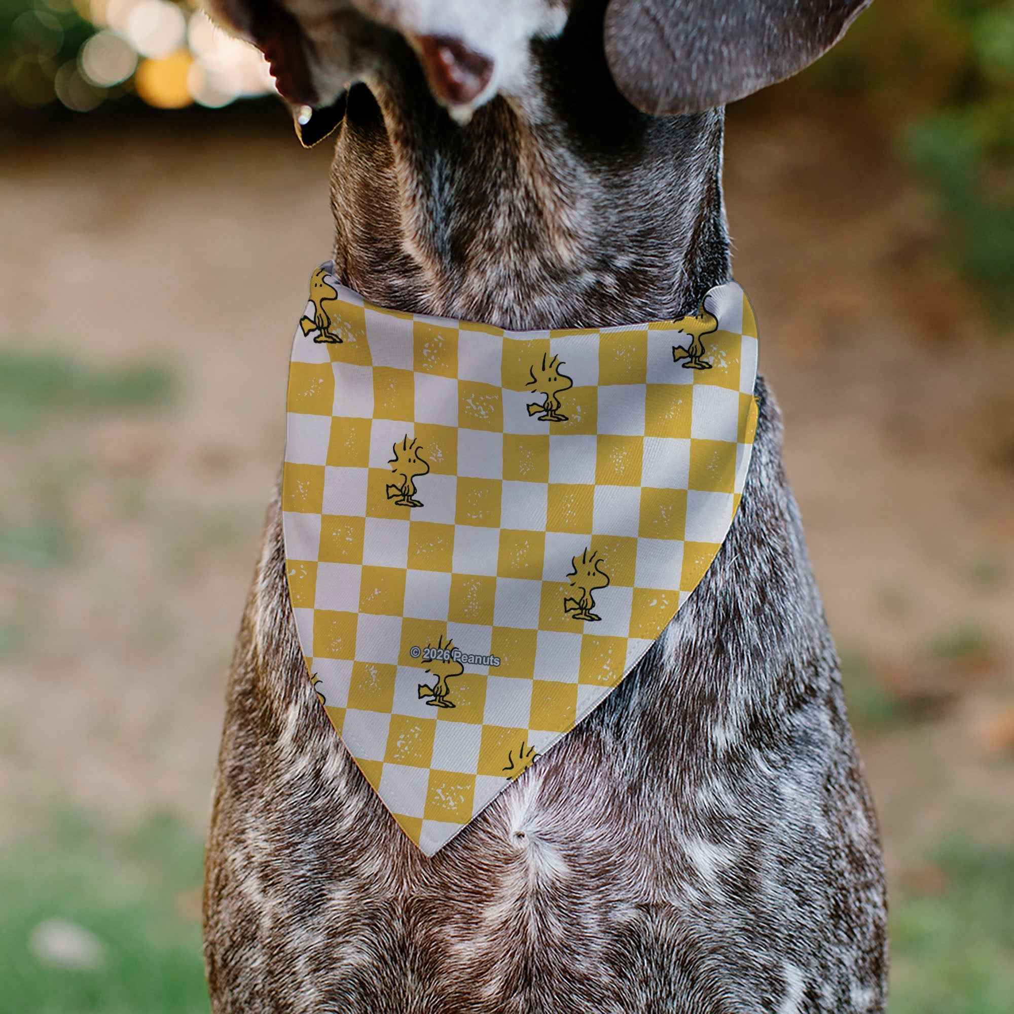 Buckle-Down Woodstock Checker Pose Pet Bandana – Peanuts Fan Gear Yellow/White