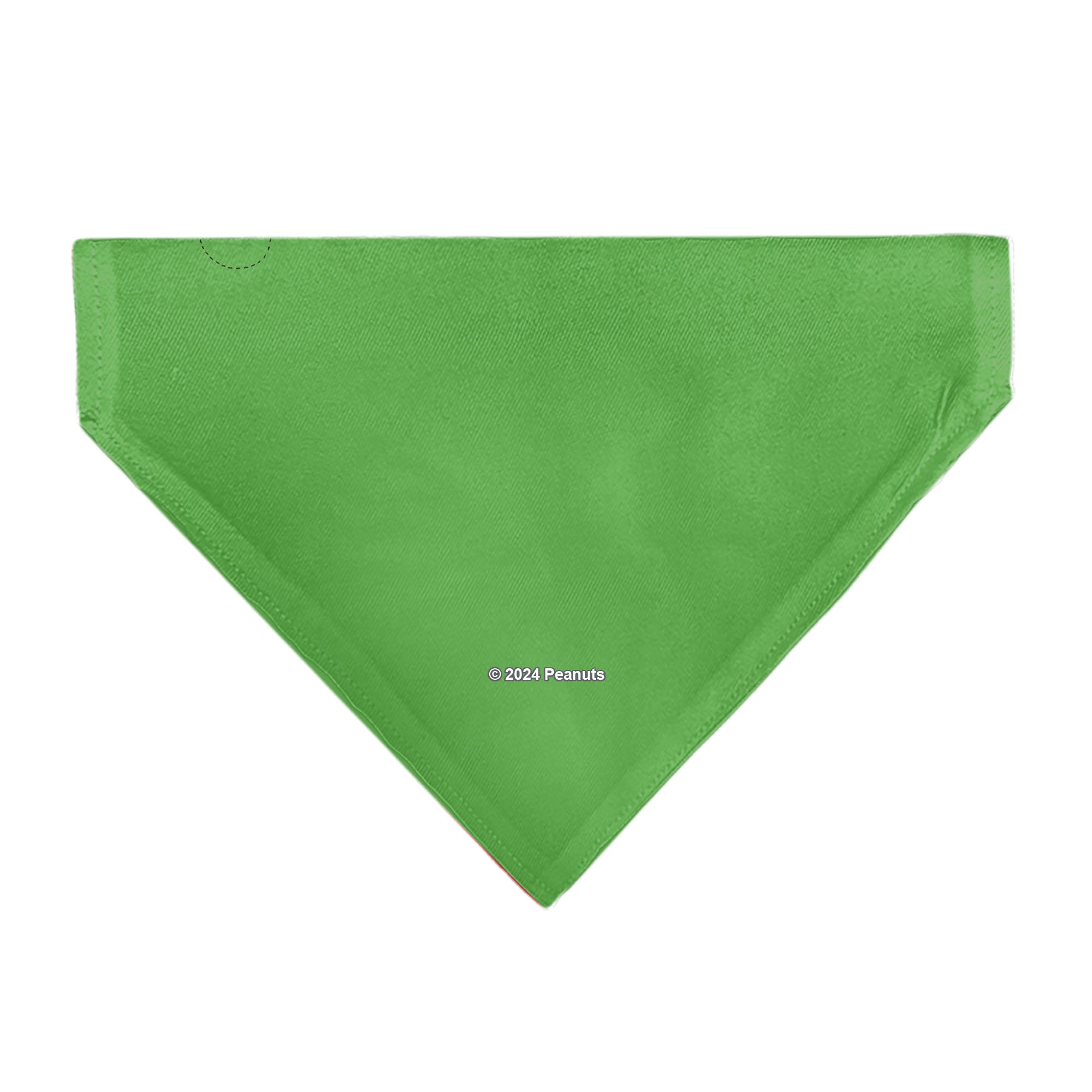 Pet Bandana - Peanuts Gang Group Pose Green 