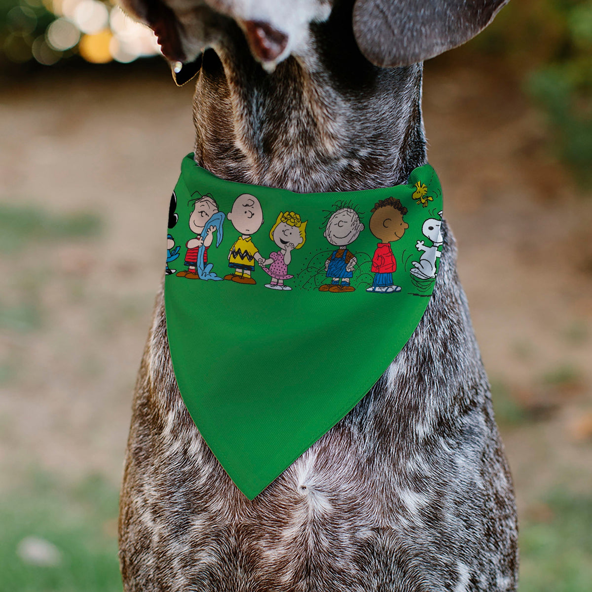 Pet Bandana - Peanuts Gang Group Pose Green 