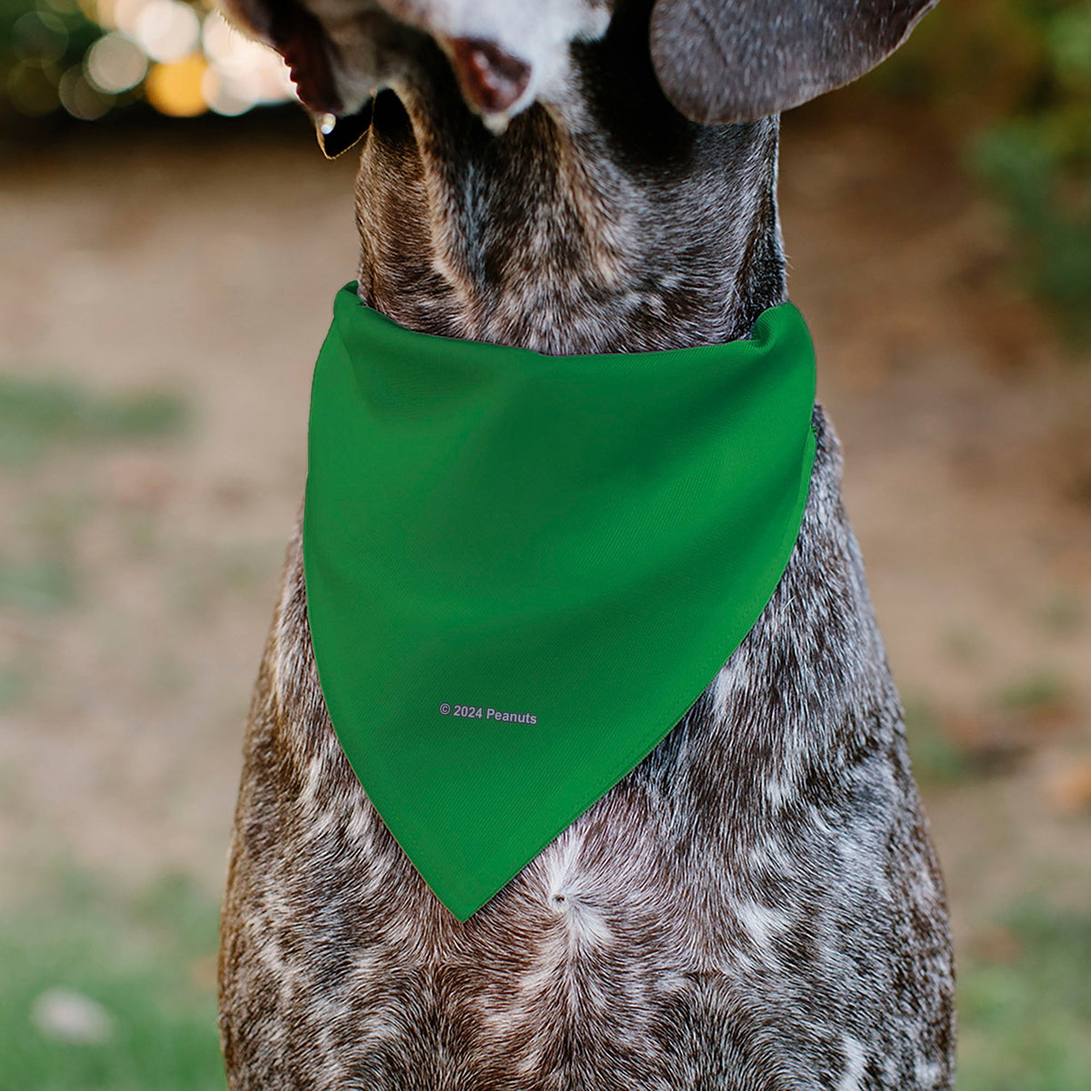 Pet Bandana - Peanuts Gang Group Pose Green 
