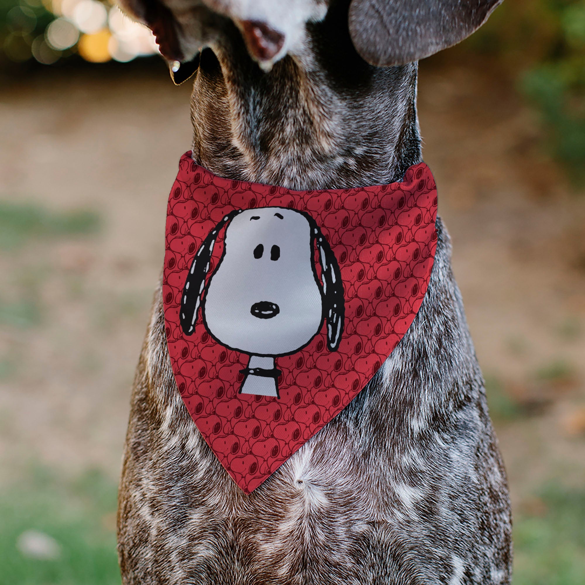 Pet Bandana - Peanuts Snoopy Face and Profile Pose Reds | HT Animal Supply