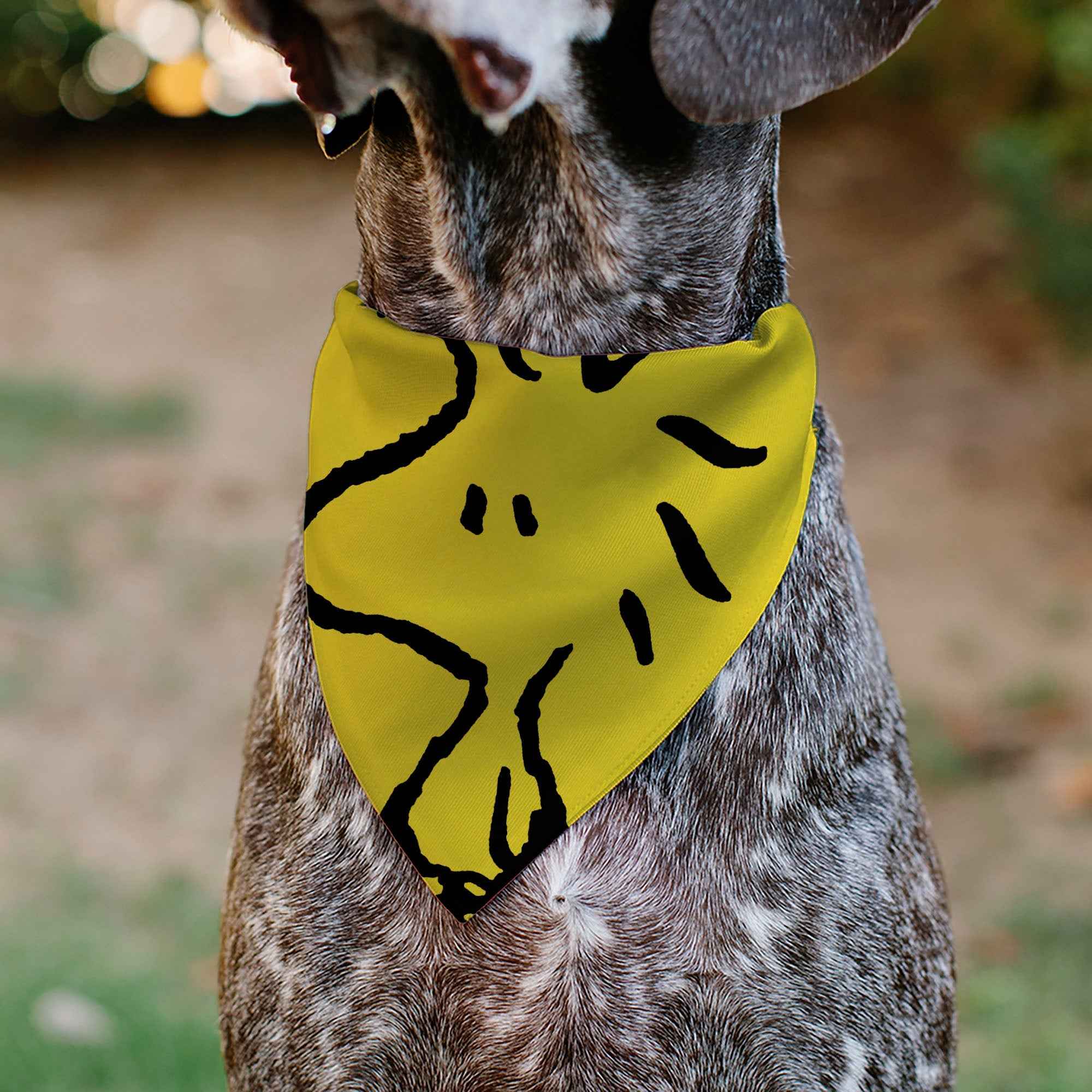 Buckle-Down Woodstock Pose Pet Bandana – Peanuts Fan Gear Yellow