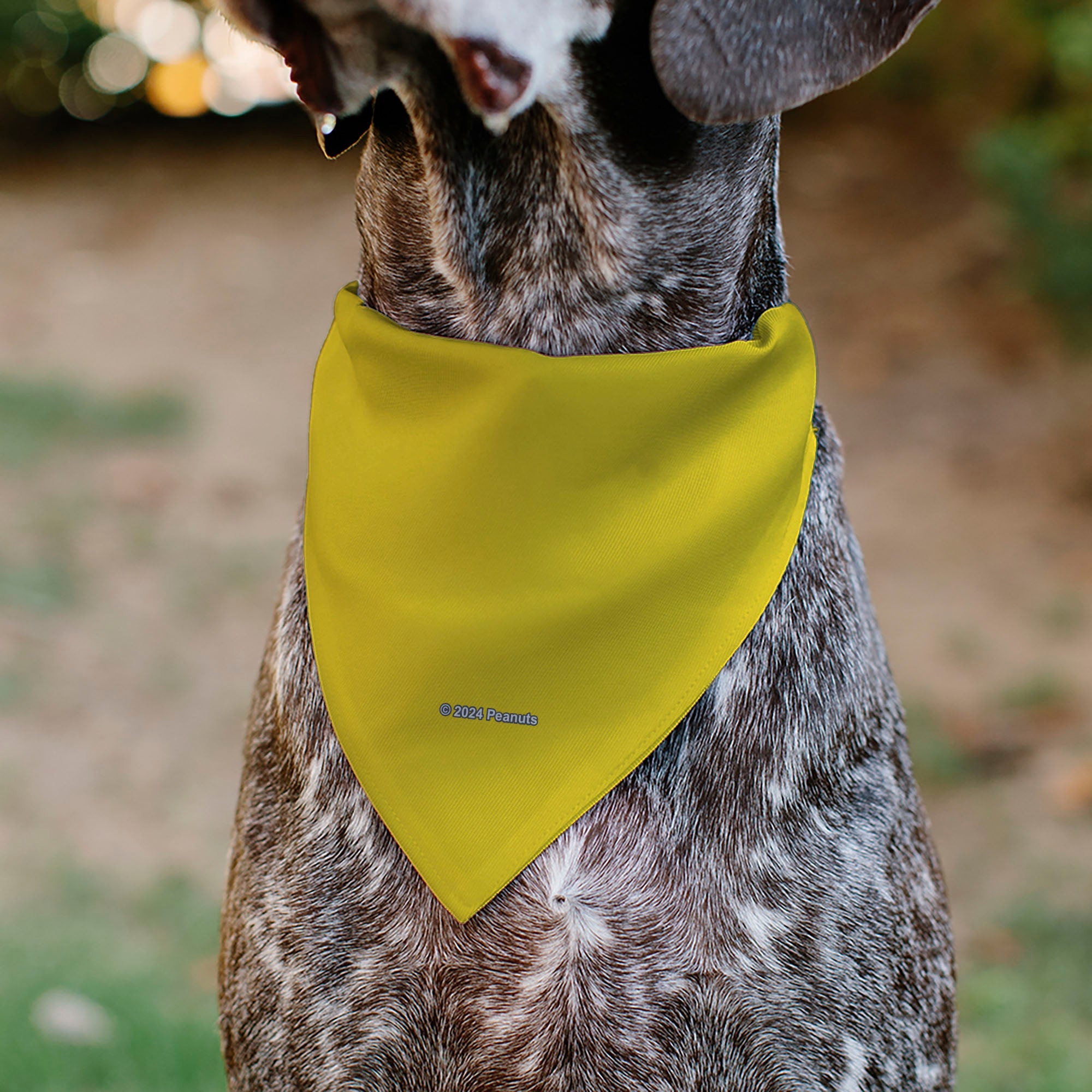 Buckle-Down Woodstock Pose Pet Bandana – Peanuts Fan Gear Yellow