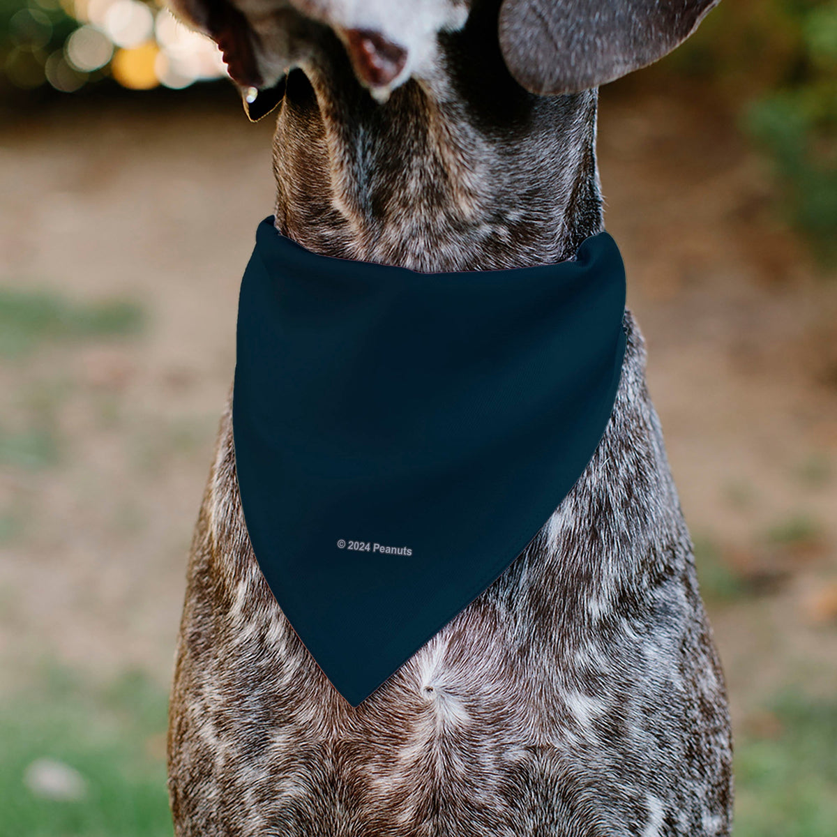 Pet Bandana - Peanuts Astronaut Snoopy I NEED MY SPACE Pose Blue 