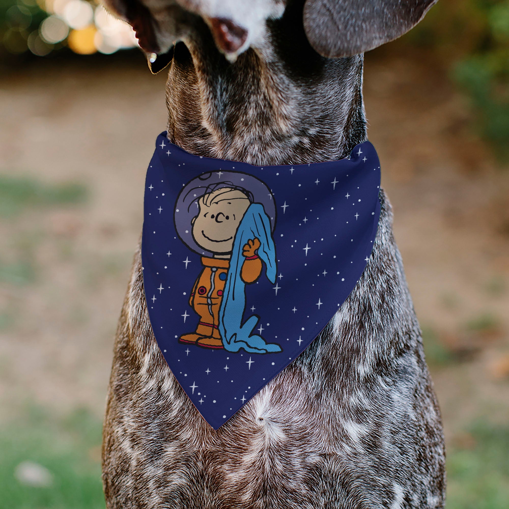 Buckle-Down Peanuts Astronaut Linus Security Blanket Space Pose Pet Bandana