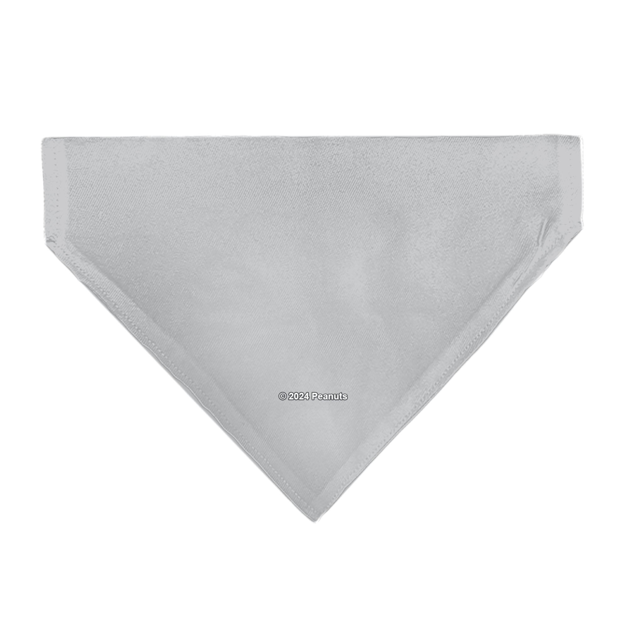 Pet Bandana - Peanuts Gang Floating Astronauts Group Pose Gray 