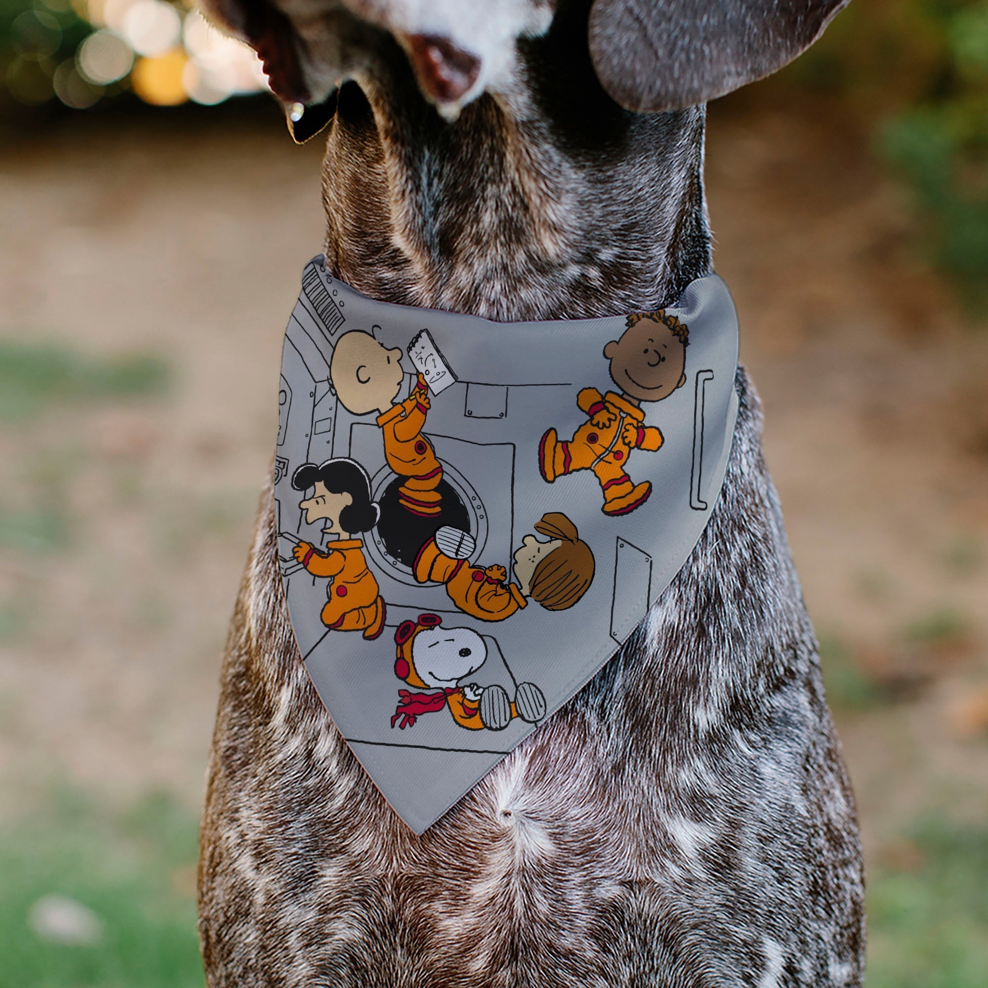 Pet Bandana - Peanuts Gang Floating Astronauts Group Pose Gray 