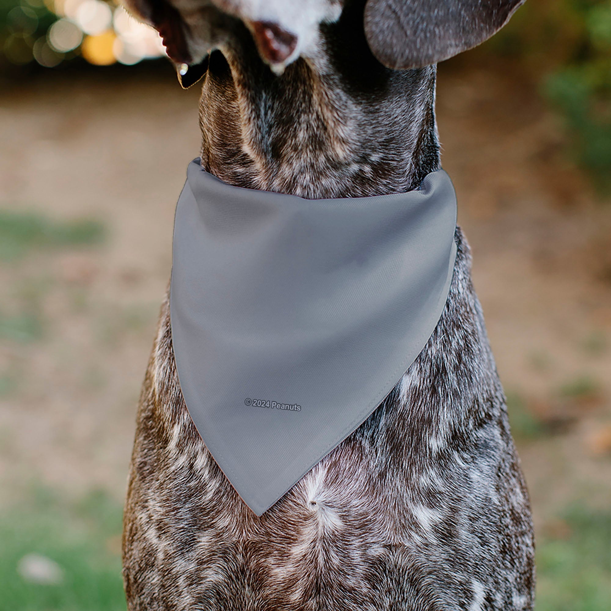 Pet Bandana - Peanuts Gang Floating Astronauts Group Pose Gray 