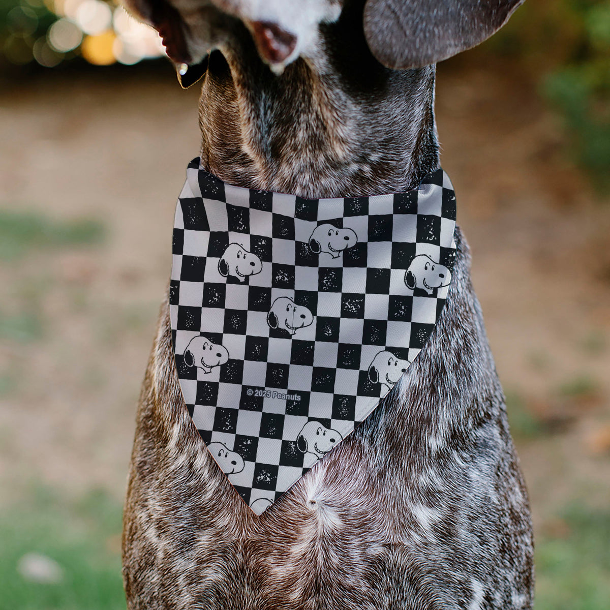 Snoopy Smiling Face Checker Pet Bandana – Peanuts Fan Gear Black/White | HT Animal Supply