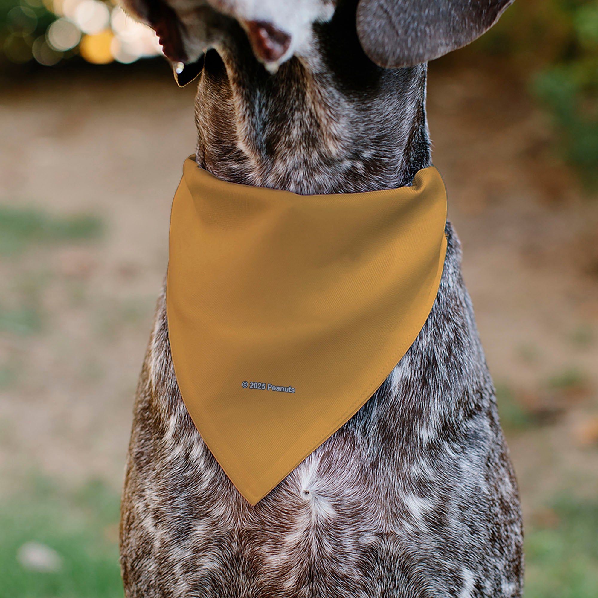 Buckle-Down Peanuts Marcie Smiling Face Pose Yellow Over-the-Collar Dog Bandana