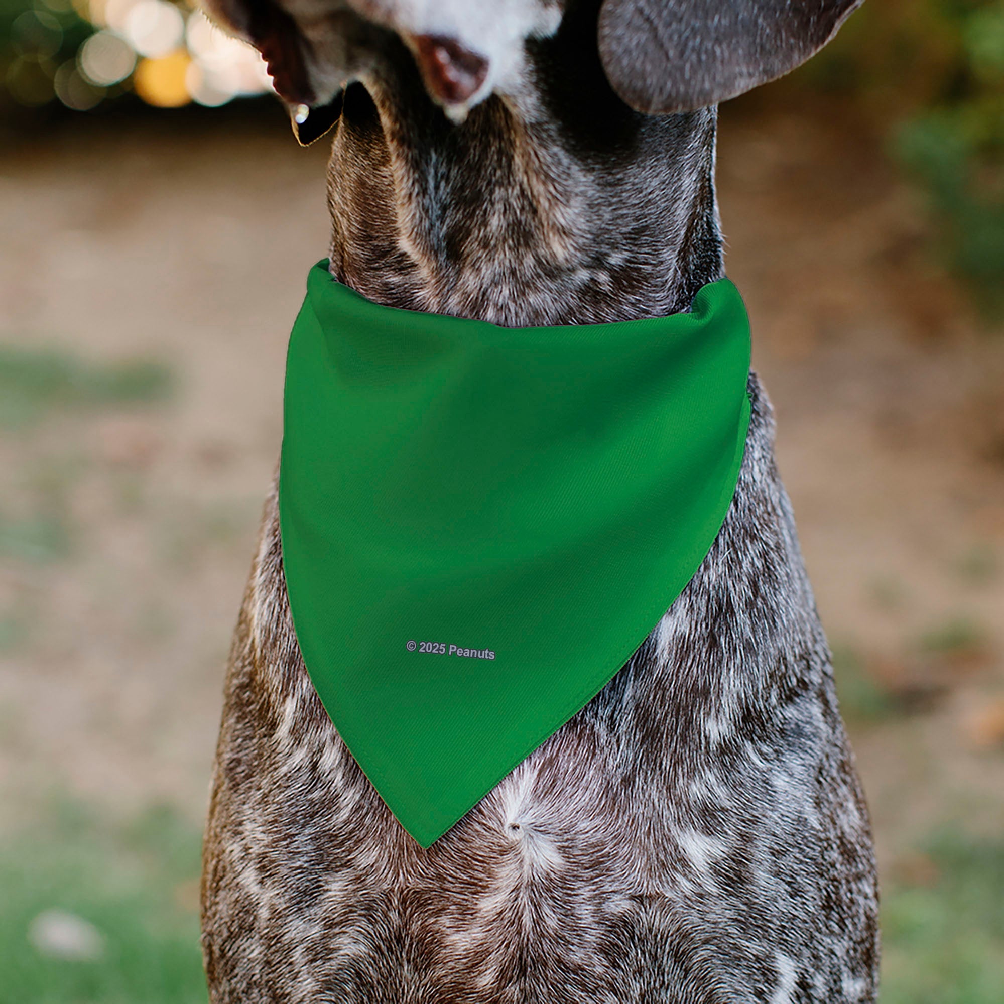 Buckle-Down Peanuts Peppermint Patty Smiling Face Pose Green Over-the-Collar Dog Bandana