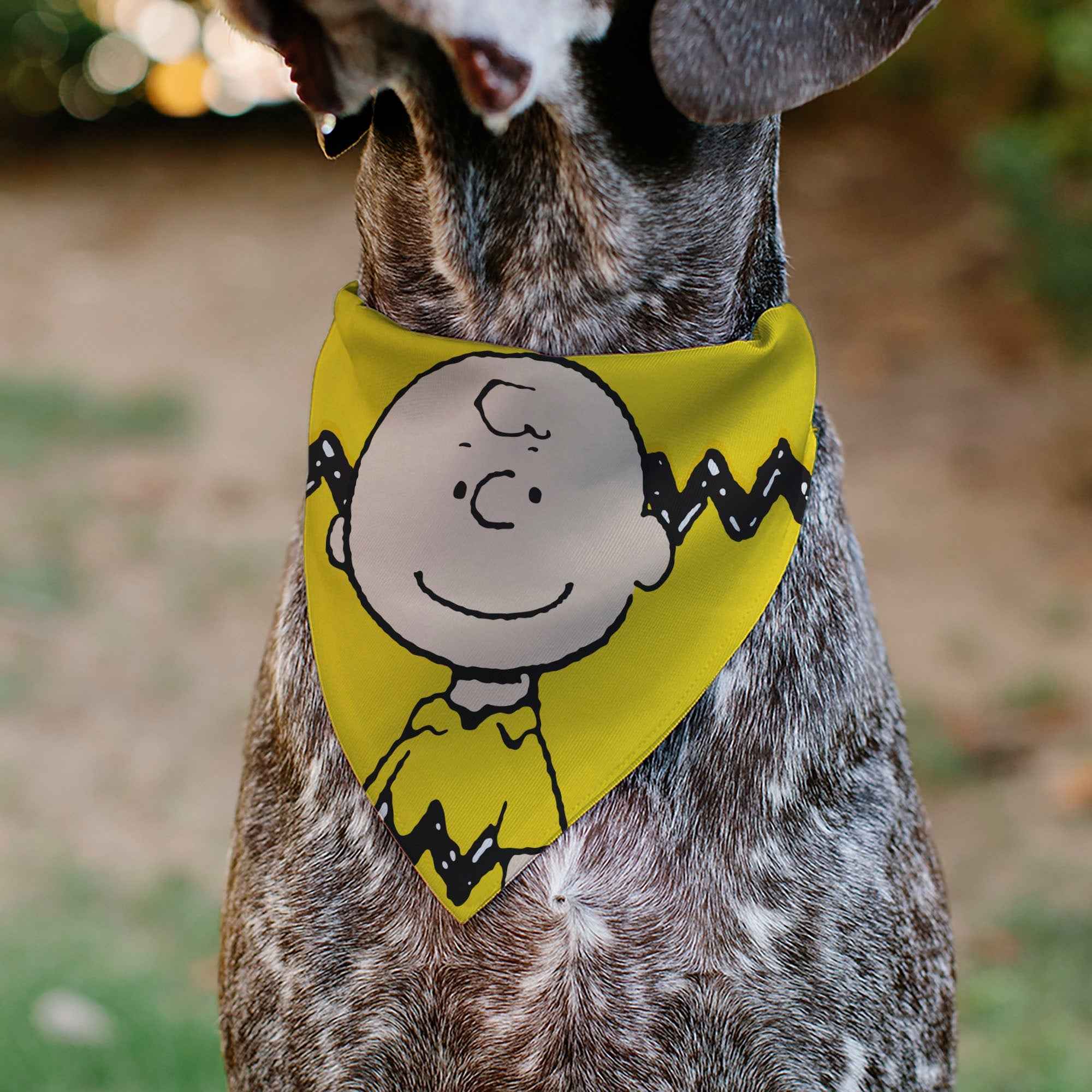 Buckle-Down Charlie Brown Smiling Face Stripe Pet Bandana – Peanuts Fan Gear Yellow