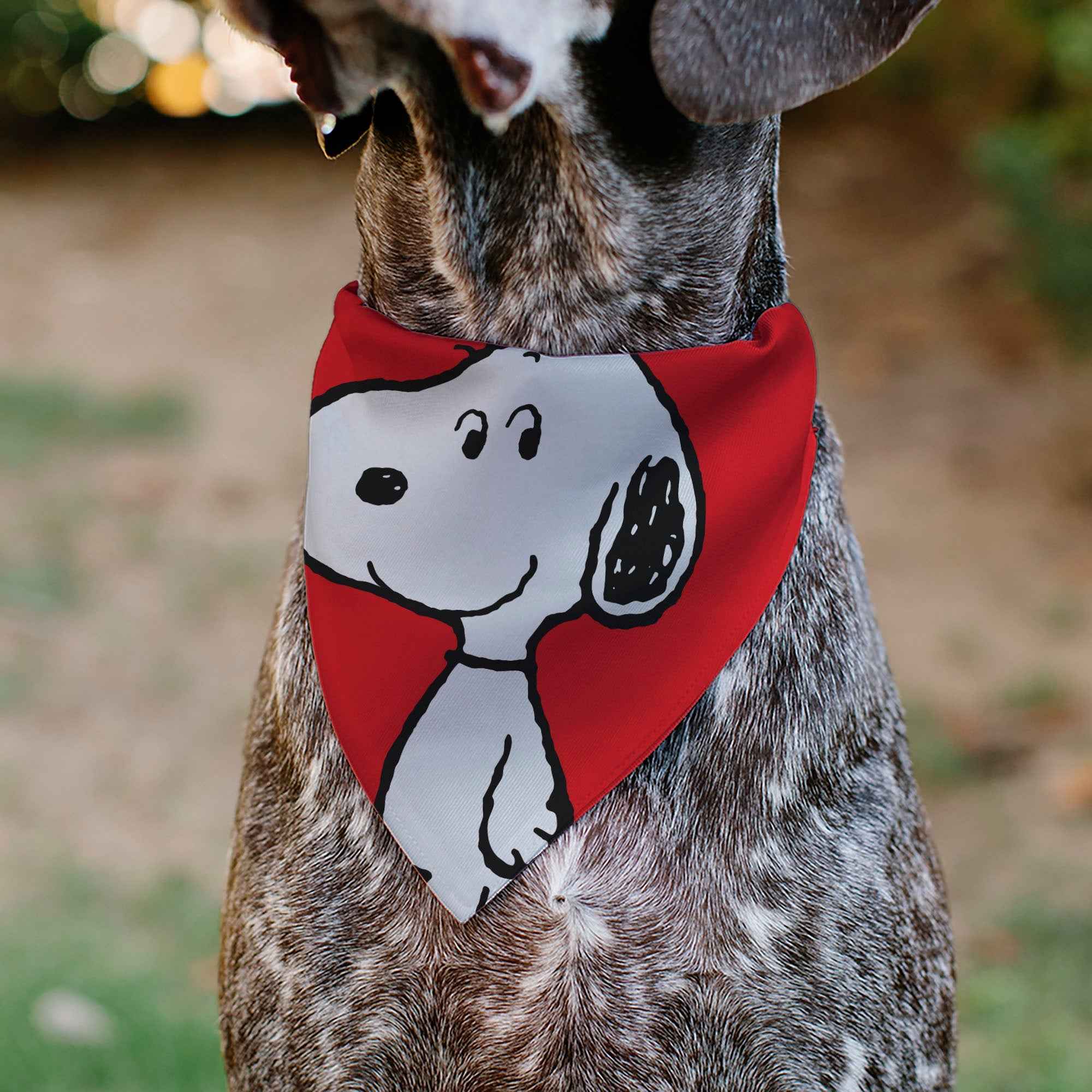 Buckle-Down Snoopy Smiling Face Pet Bandana – Peanuts Fan Gear Red