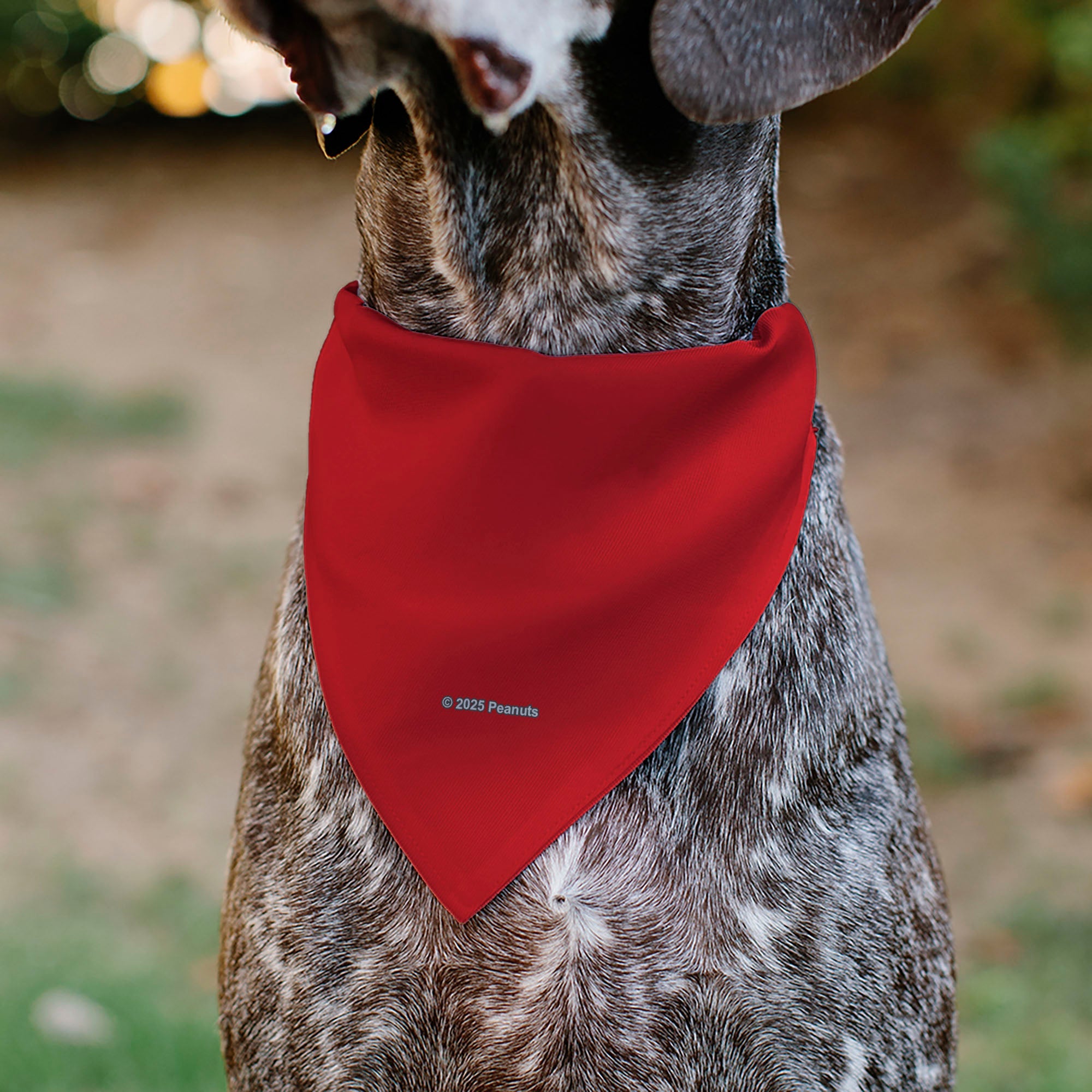 Buckle-Down Snoopy Smiling Face Pet Bandana – Peanuts Fan Gear Red