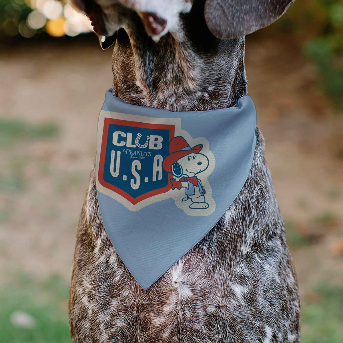 Snoopy Cowboy USA Pet Bandana – Peanuts Fan Gear Light Blue/Red/White