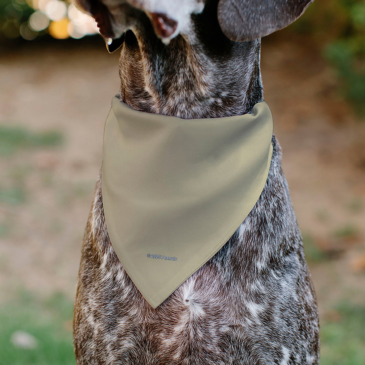 Snoopy All American Rodeo Club Pet Bandana – Peanuts Fan Gear Beige/Red/Blues | HT Animal Supply