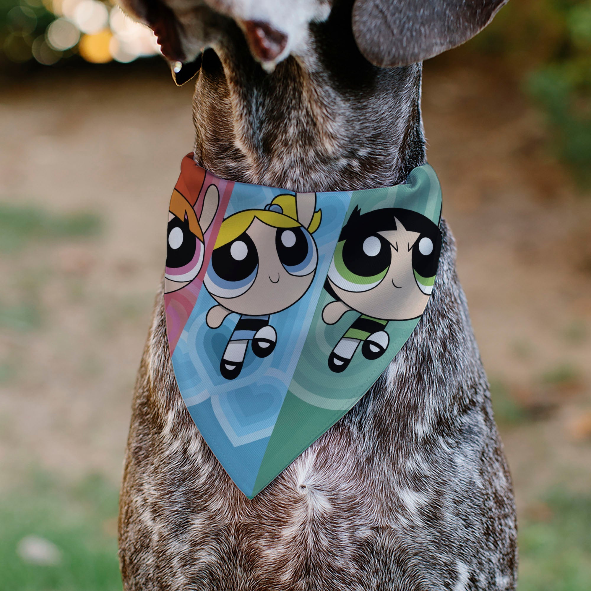 Pet Bandana - The Powerpuff Girls Flight Pose Pinks/Blues/Greens 