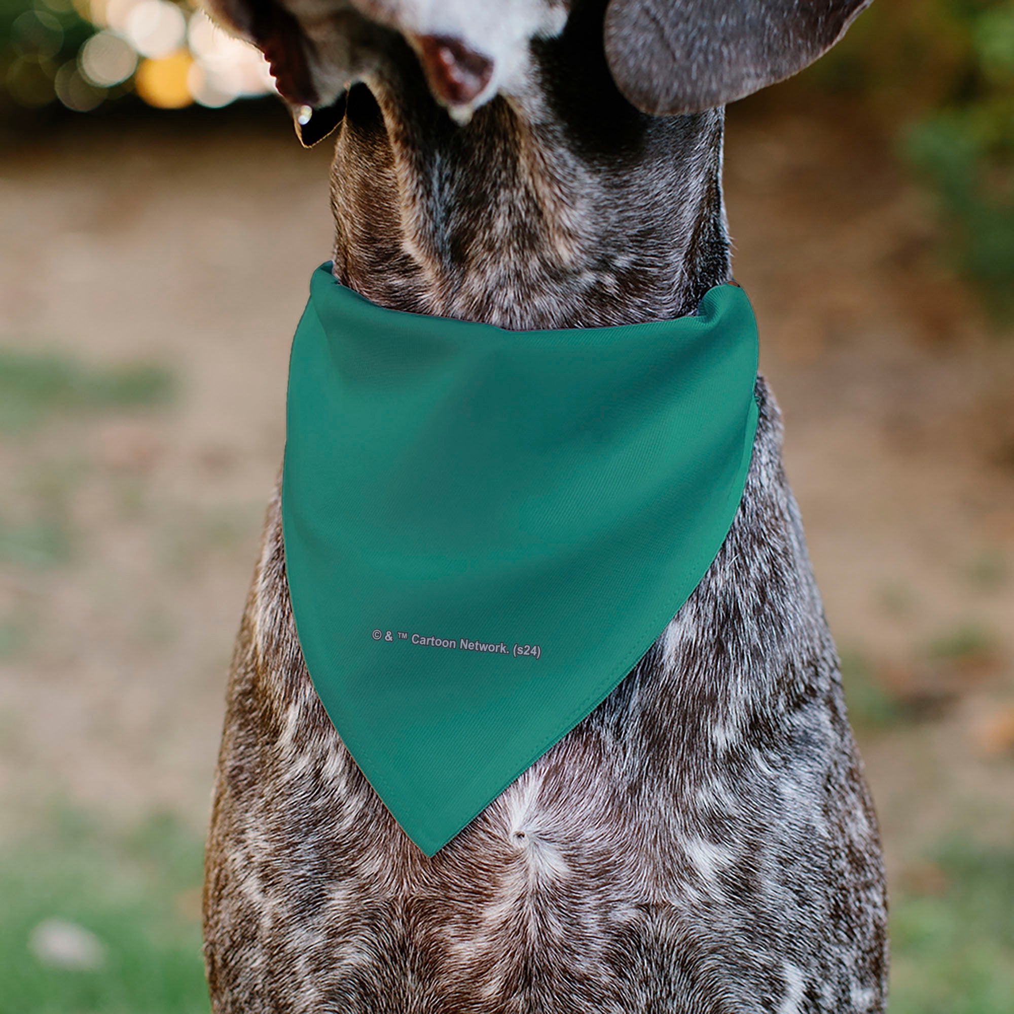 Pet Bandana - The Powerpuff Girls Flight Pose Pinks/Blues/Greens 