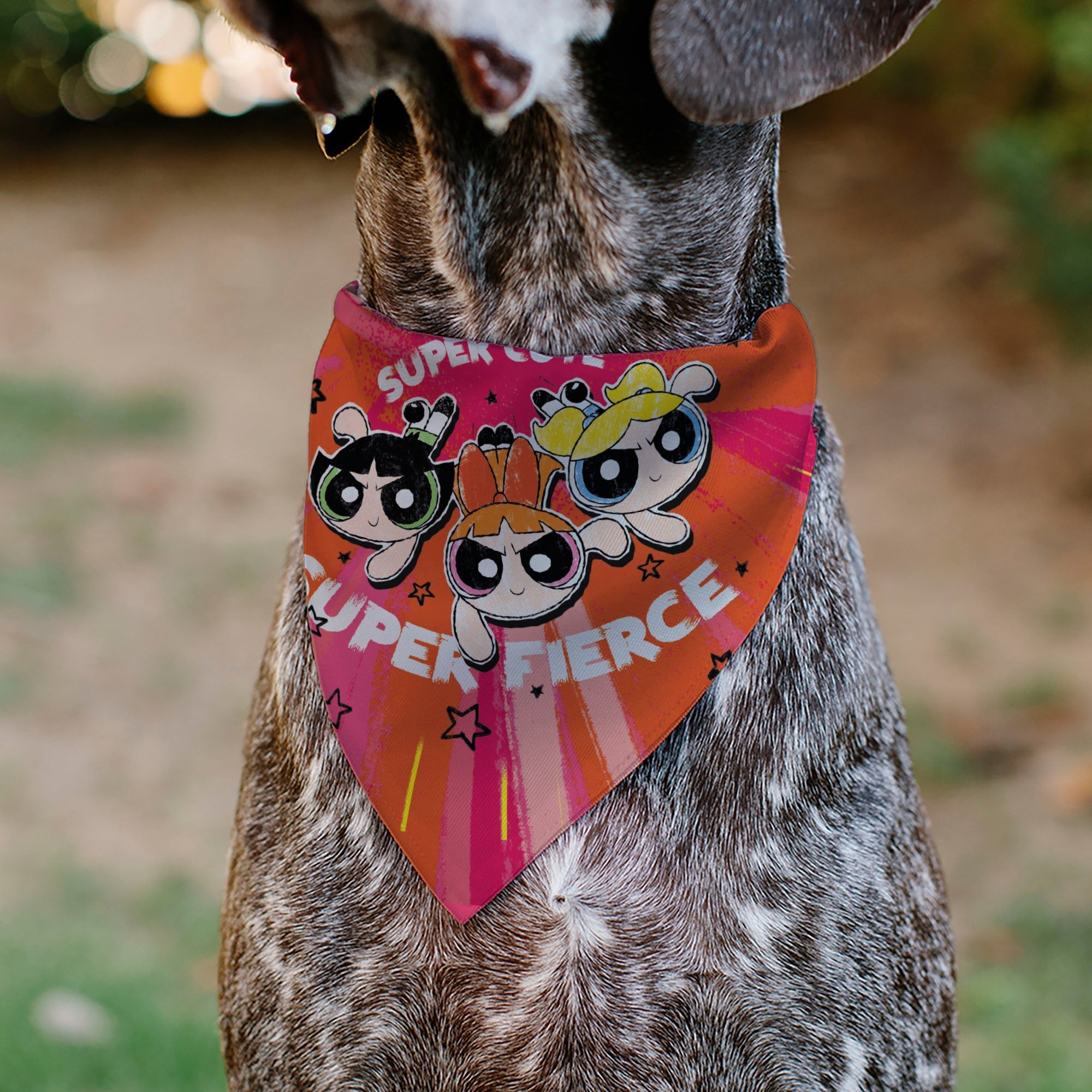 Pet Bandana - Powerpuff Girls SUPER CUTE SUPER FIERCE Group Pose Pinks 