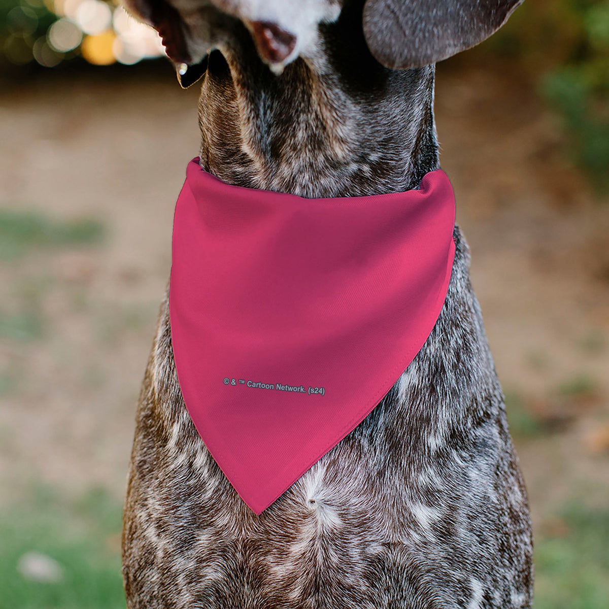 Pet Bandana - Powerpuff Girls SUPER CUTE SUPER FIERCE Group Pose Pinks 