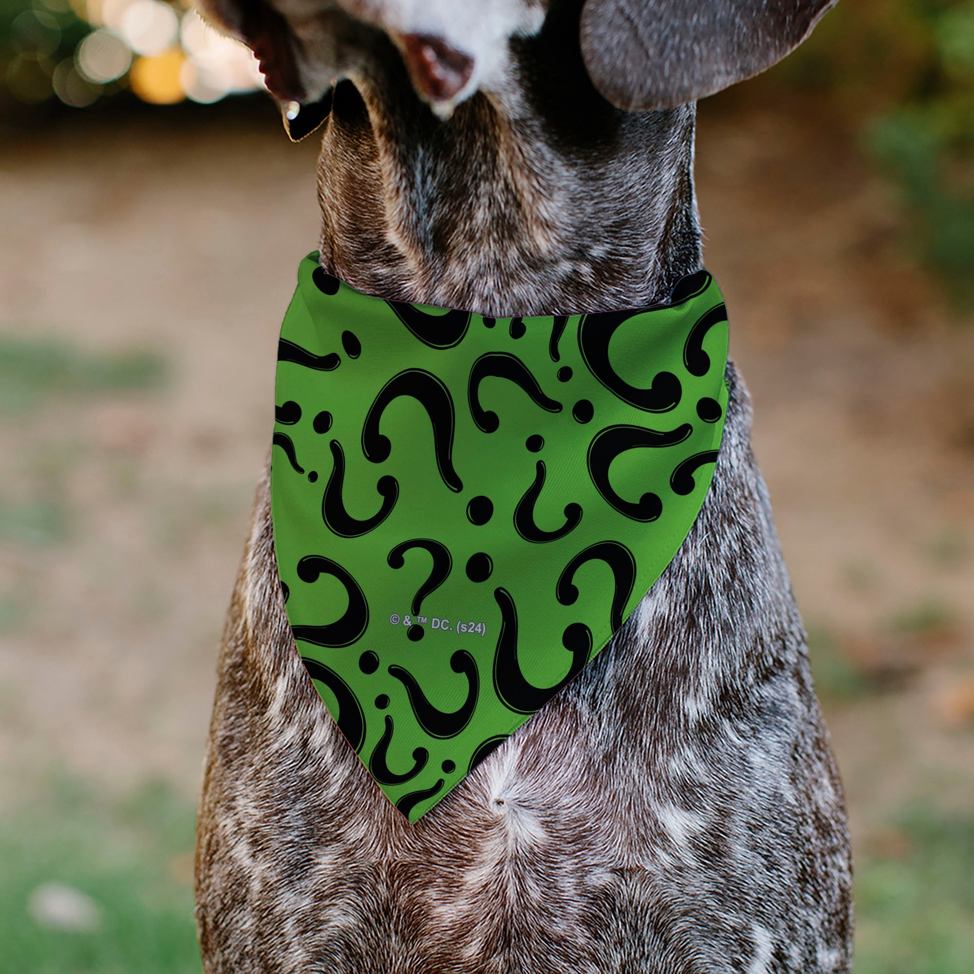 Buckle-Down The Riddler Question Mark Logo Scattered Green/Black Over-the-Collar Dog Bandana