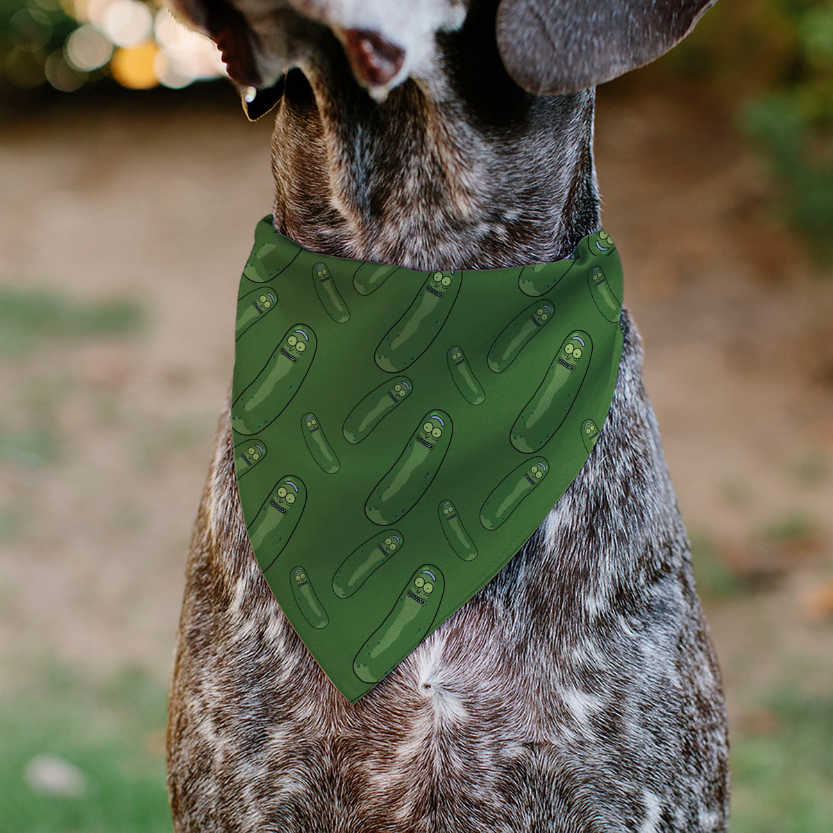 Pet Bandana - Rick and Morty Pickle Rick Pose Scattered Greens | HT Animal Supply