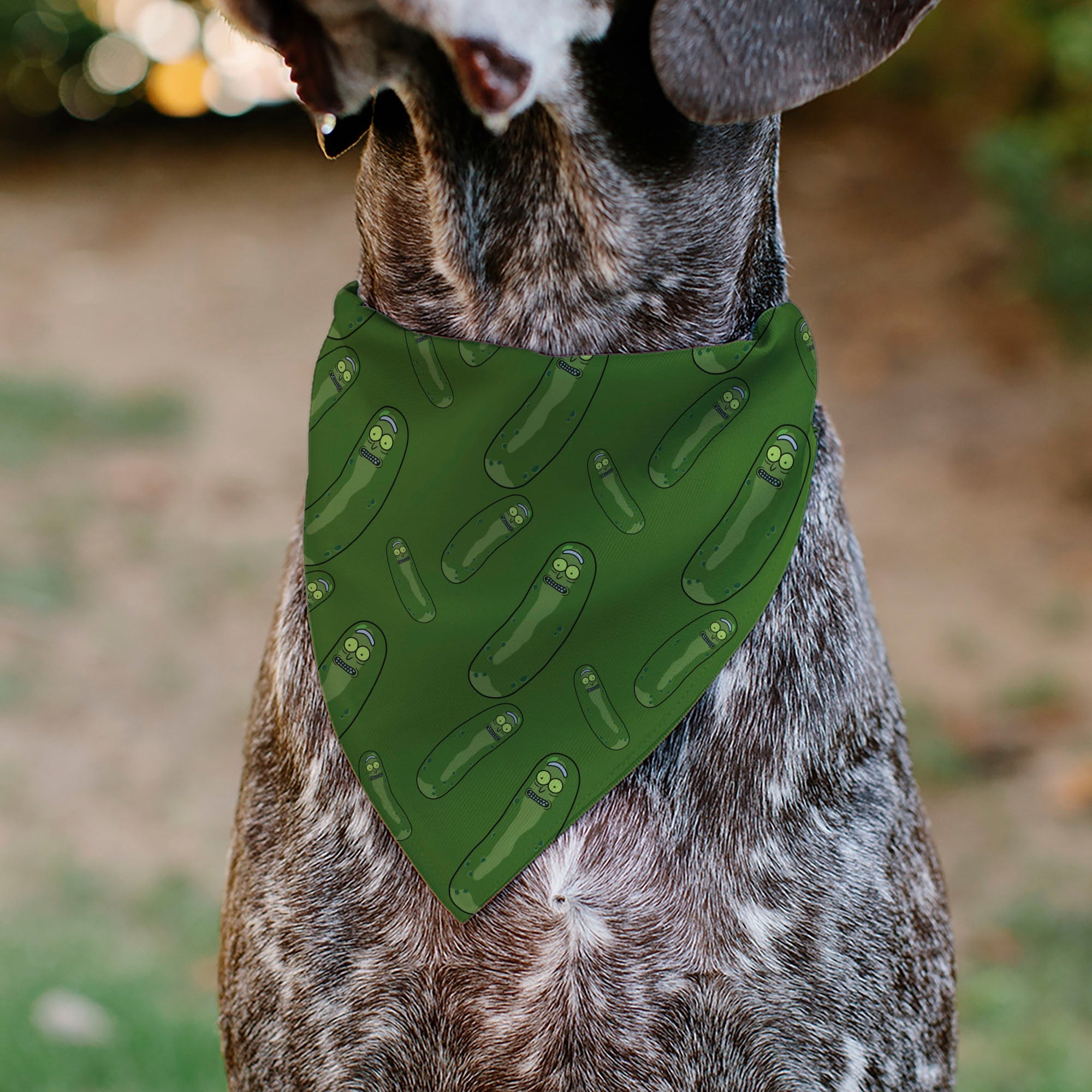 Pet Bandana - Rick and Morty Pickle Rick Pose Scattered Greens 