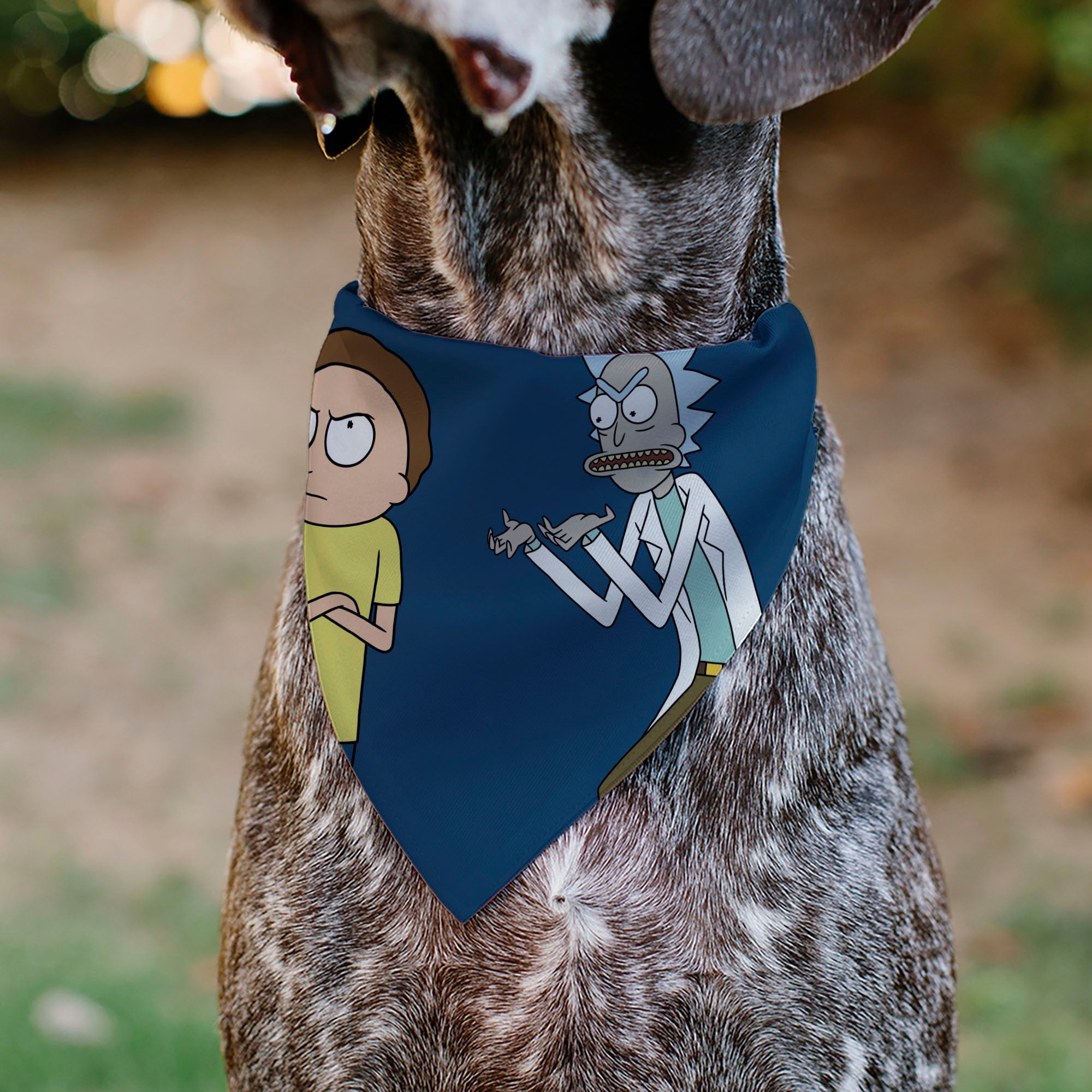 Pet Bandana - Rick and Morty Arms Crossed Pose Blue 