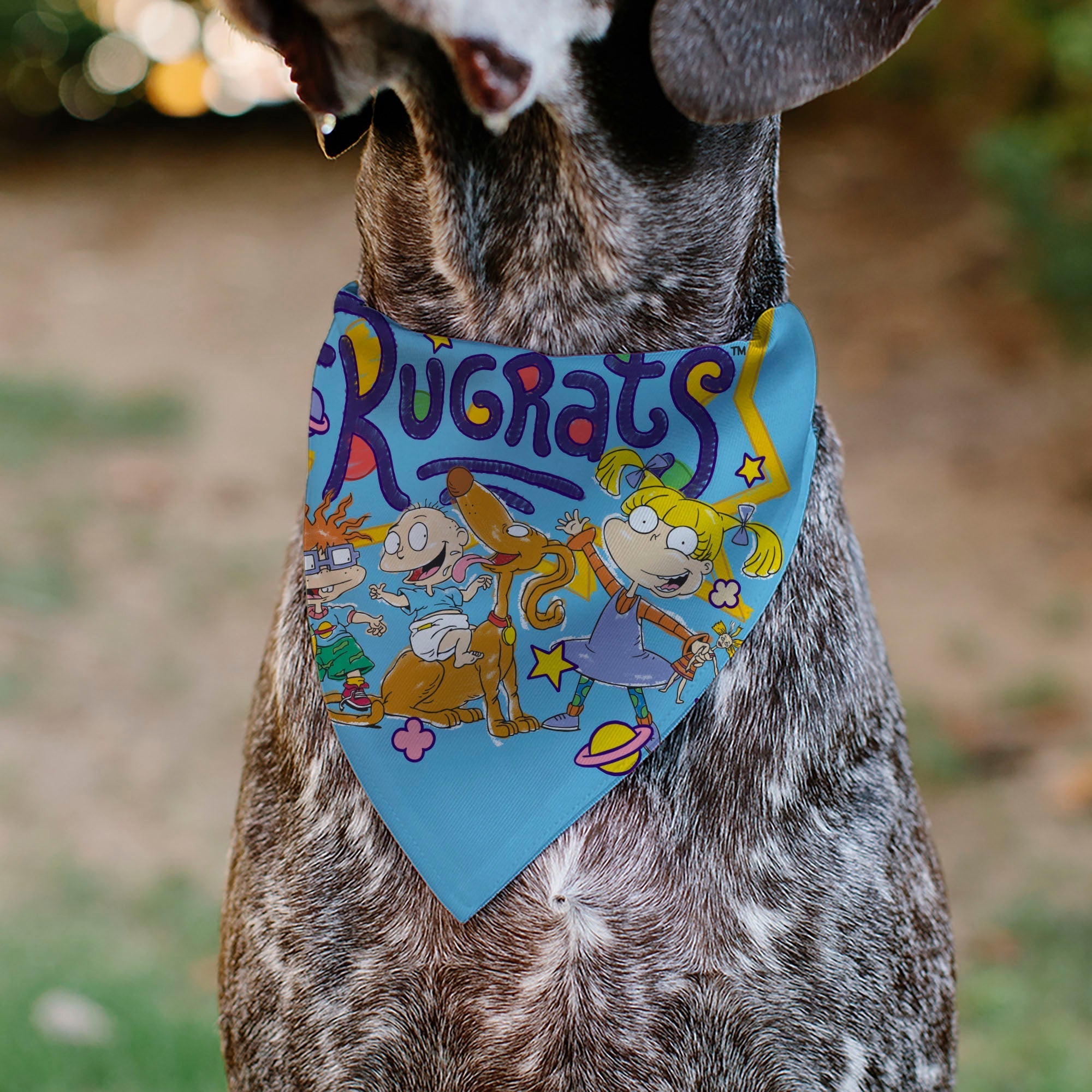 Pet Bandana - RUGRATS Four Character Group Pose and Title Logo Light Blue 
