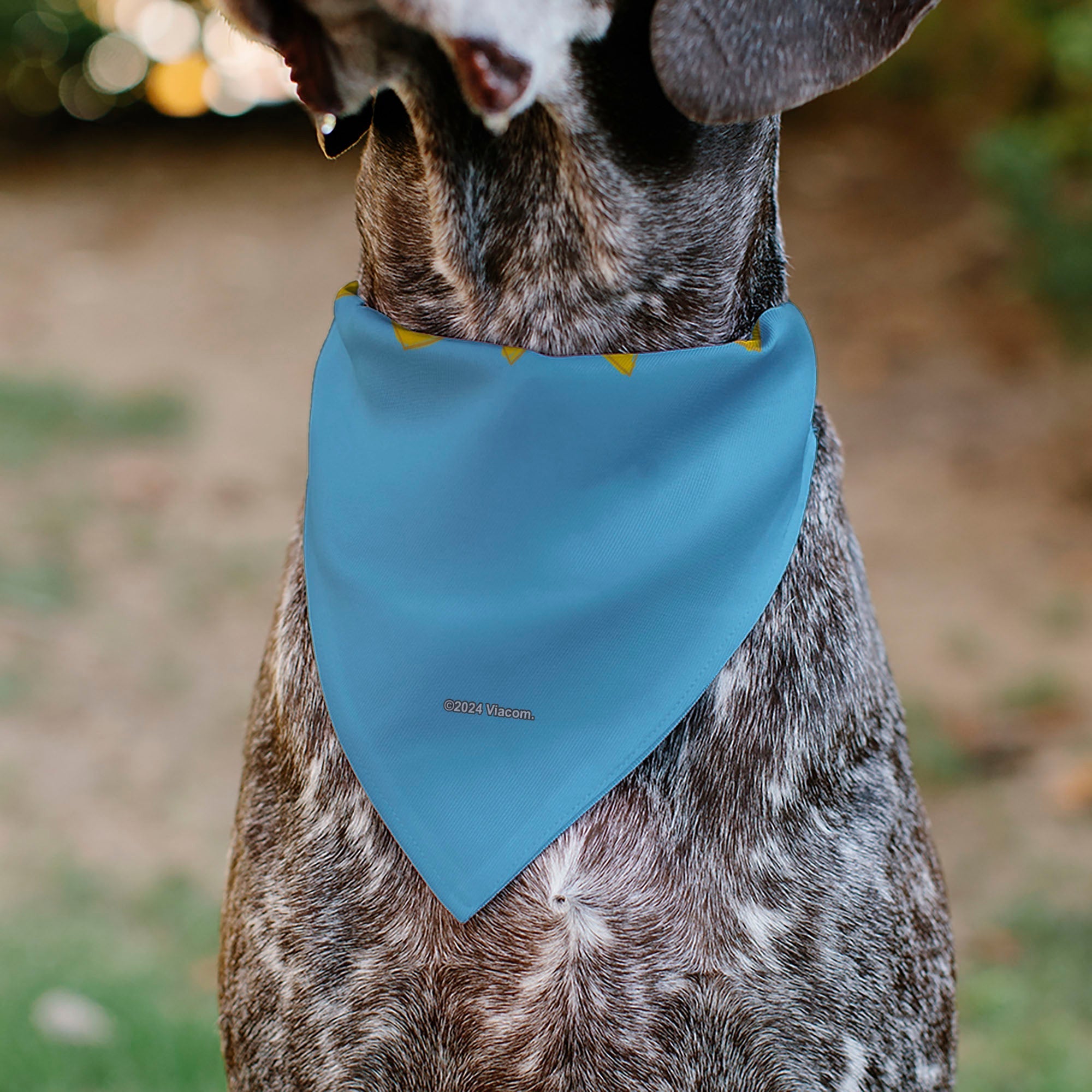 Pet Bandana - RUGRATS Four Character Group Pose and Title Logo Light Blue 